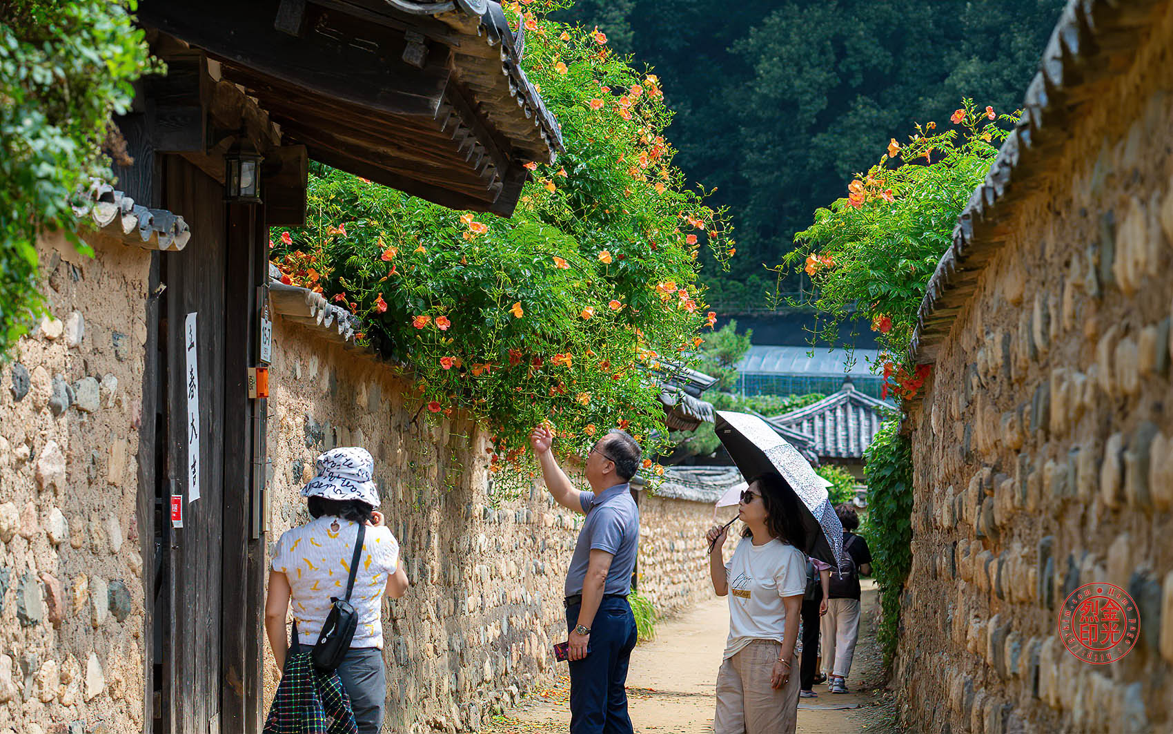 PHOTO BY KKY_CWANG_YEOL | NIKON Z 8 | 2024:06:24 10:03:17 | ISO-250 | 1/640 sec | f 6.3 | 100 mm | EV=0 | ● WIDTH:1700 pixels  HEIGHT:1063 pixels