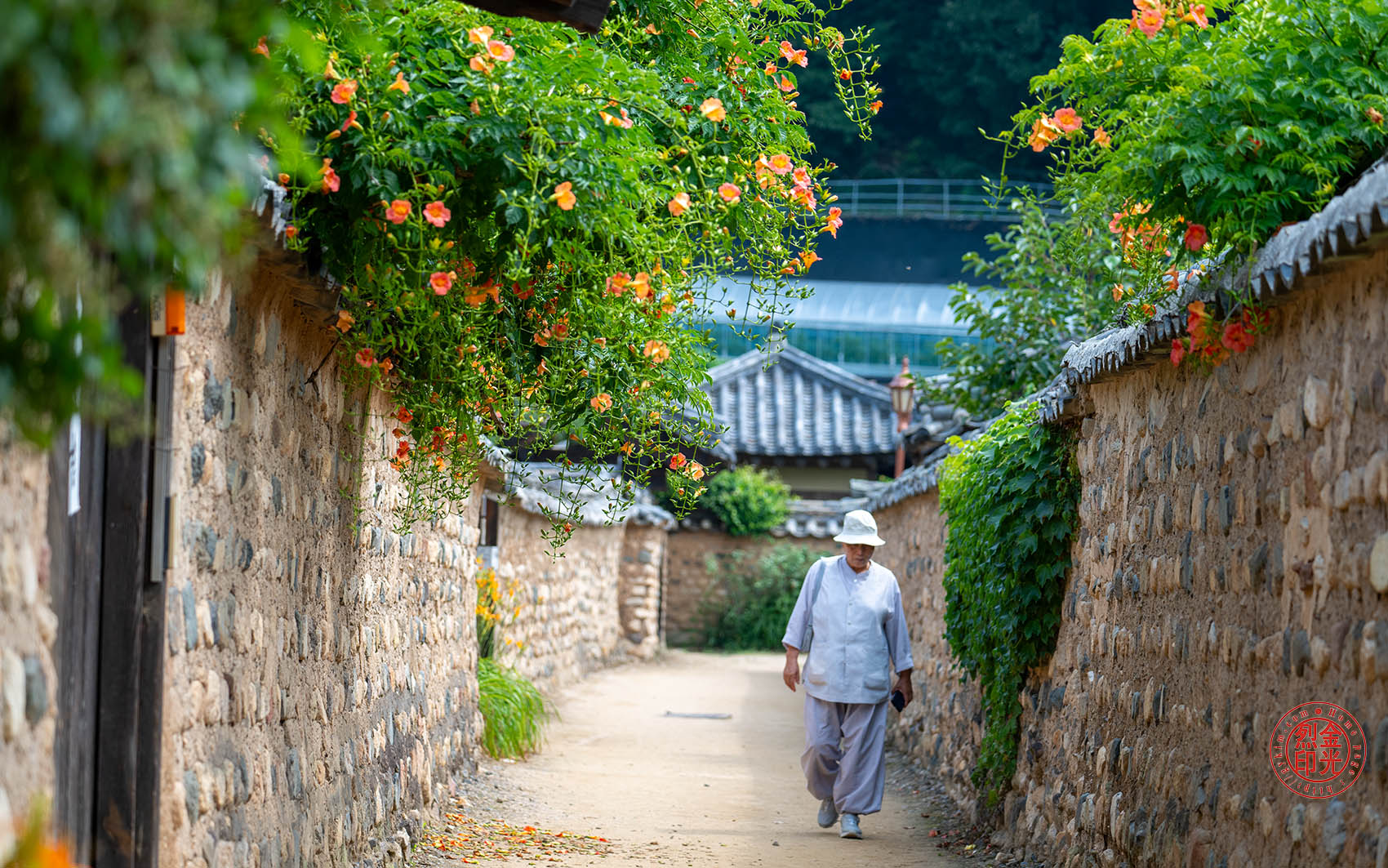 PHOTO BY KKY_CWANG_YEOL | NIKON Z 8 | 2024:06:24 10:08:29 | ISO-250 | 1/500 sec | f 4.8 | 140 mm | EV=0 | ● WIDTH:1700 pixels  HEIGHT:1063 pixels