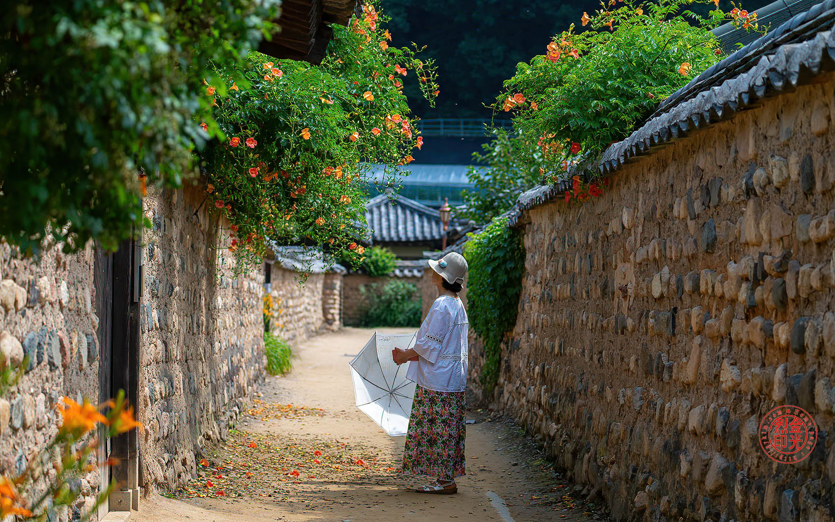 PHOTO BY KKY_CWANG_YEOL | NIKON Z 8 | 2024:06:24 10:11:02 | ISO-250 | 1/1250 sec | f 4.5 | 100 mm | EV=0 | ● WIDTH:1700 pixels  HEIGHT:1063 pixels