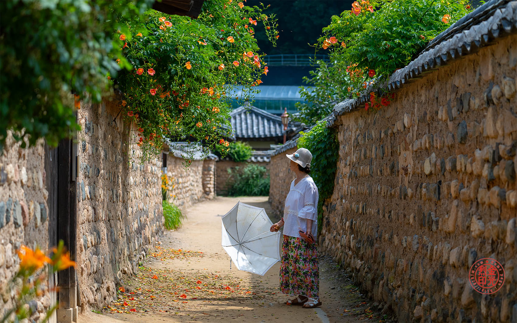 PHOTO BY KKY_CWANG_YEOL | NIKON Z 8 | 2024:06:24 10:11:24 | ISO-250 | 1/1250 sec | f 4.5 | 110 mm | EV=0 | ● WIDTH:1700 pixels  HEIGHT:1063 pixels