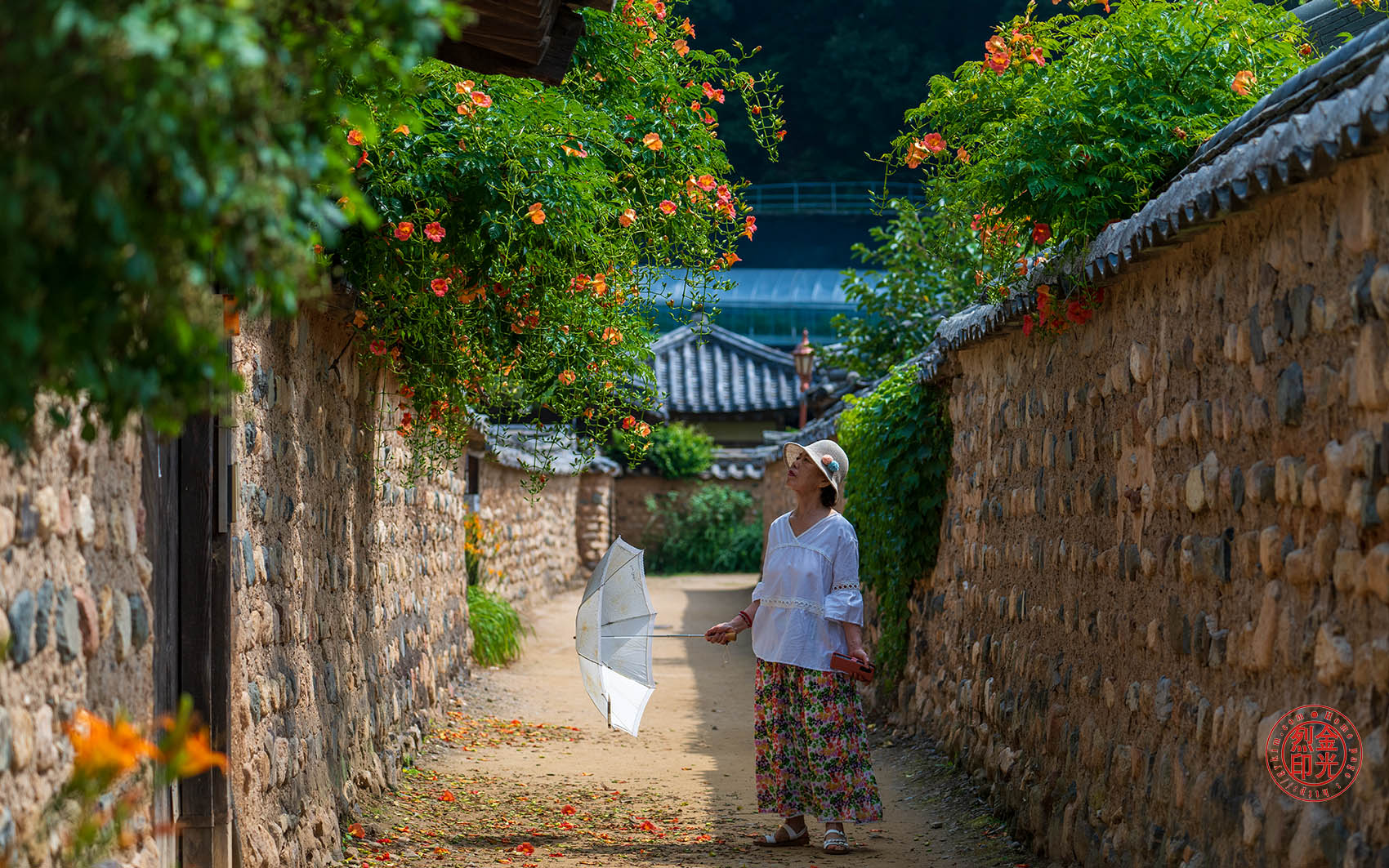 PHOTO BY KKY_CWANG_YEOL | NIKON Z 8 | 2024:06:24 10:11:29 | ISO-250 | 1/1250 sec | f 4.5 | 110 mm | EV=0 | ● WIDTH:1700 pixels  HEIGHT:1063 pixels