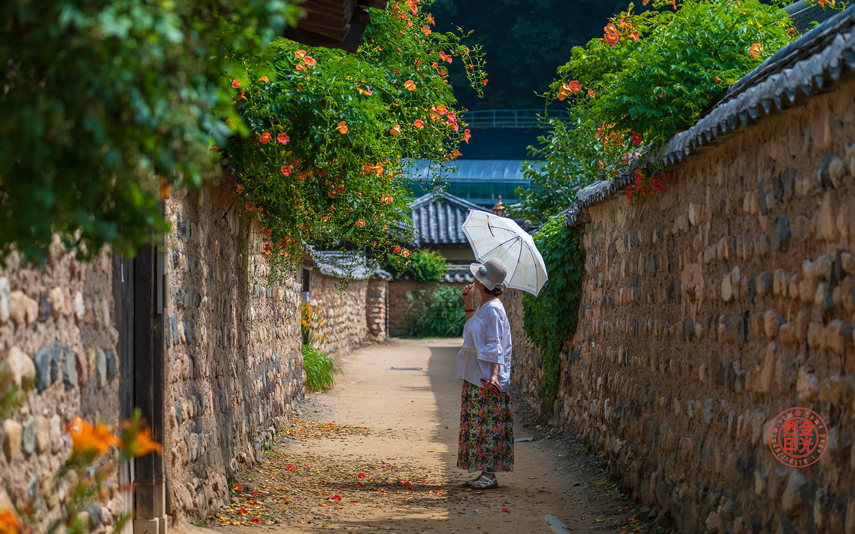 PHOTO BY KKY_CWANG_YEOL | NIKON Z 8 | 2024:06:24 10:11:44 | ISO-250 | 1/1600 sec | f 4.5 | 110 mm | EV=0 | ● WIDTH:1700 pixels  HEIGHT:1063 pixels