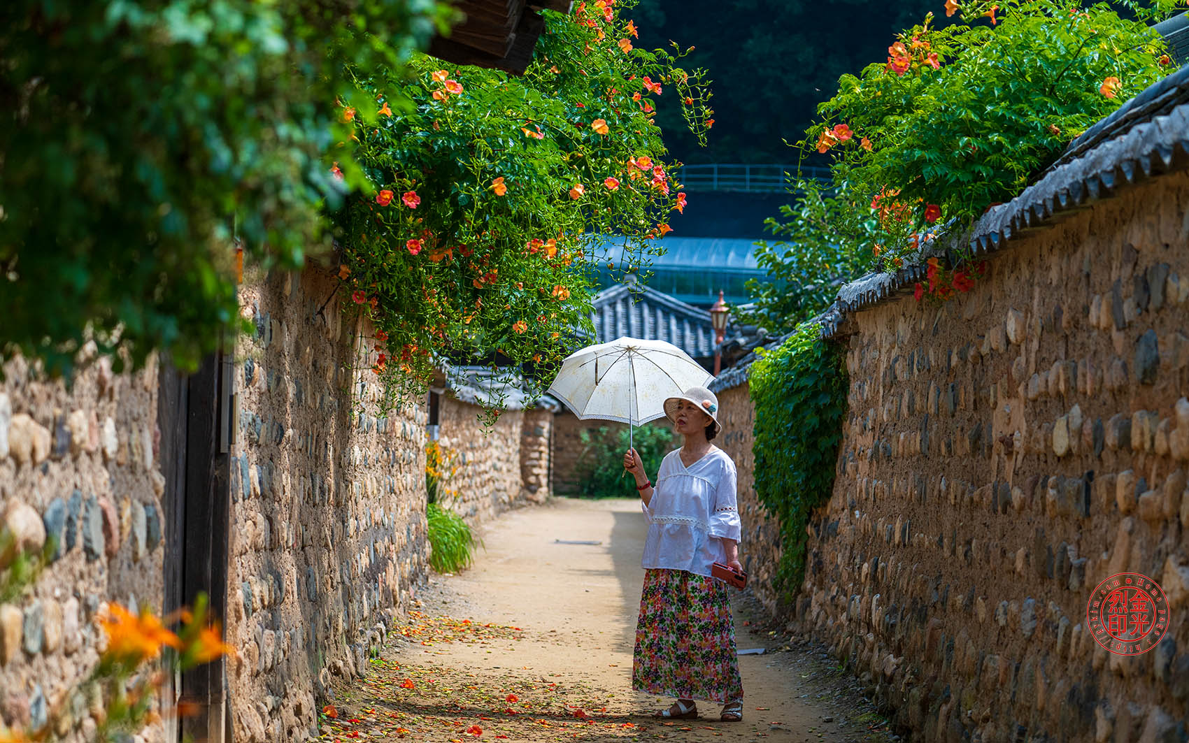 PHOTO BY KKY_CWANG_YEOL | NIKON Z 8 | 2024:06:24 10:12:09 | ISO-250 | 1/1600 sec | f 4.5 | 110 mm | EV=0 | ● WIDTH:1700 pixels  HEIGHT:1063 pixels