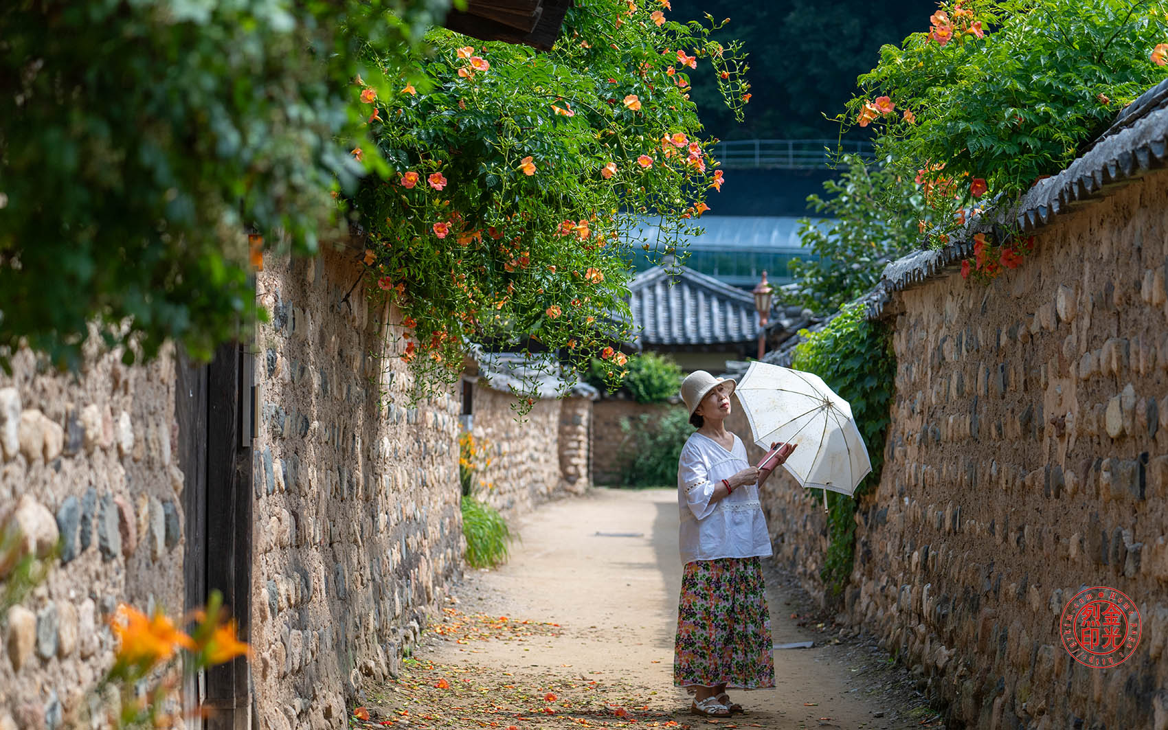 PHOTO BY KKY_CWANG_YEOL | NIKON Z 8 | 2024:06:24 10:12:19 | ISO-250 | 1/1250 sec | f 4.5 | 110 mm | EV=0 | ● WIDTH:1700 pixels  HEIGHT:1063 pixels