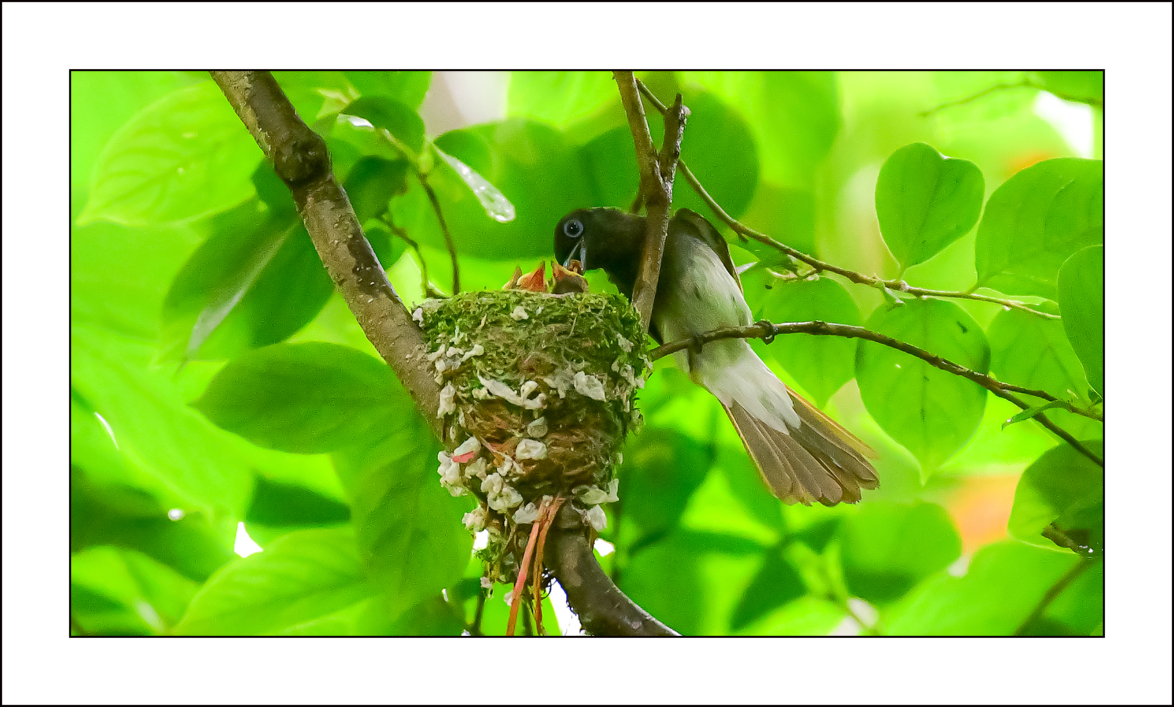   | PHOTO BY : 삿갓/정봉식  |