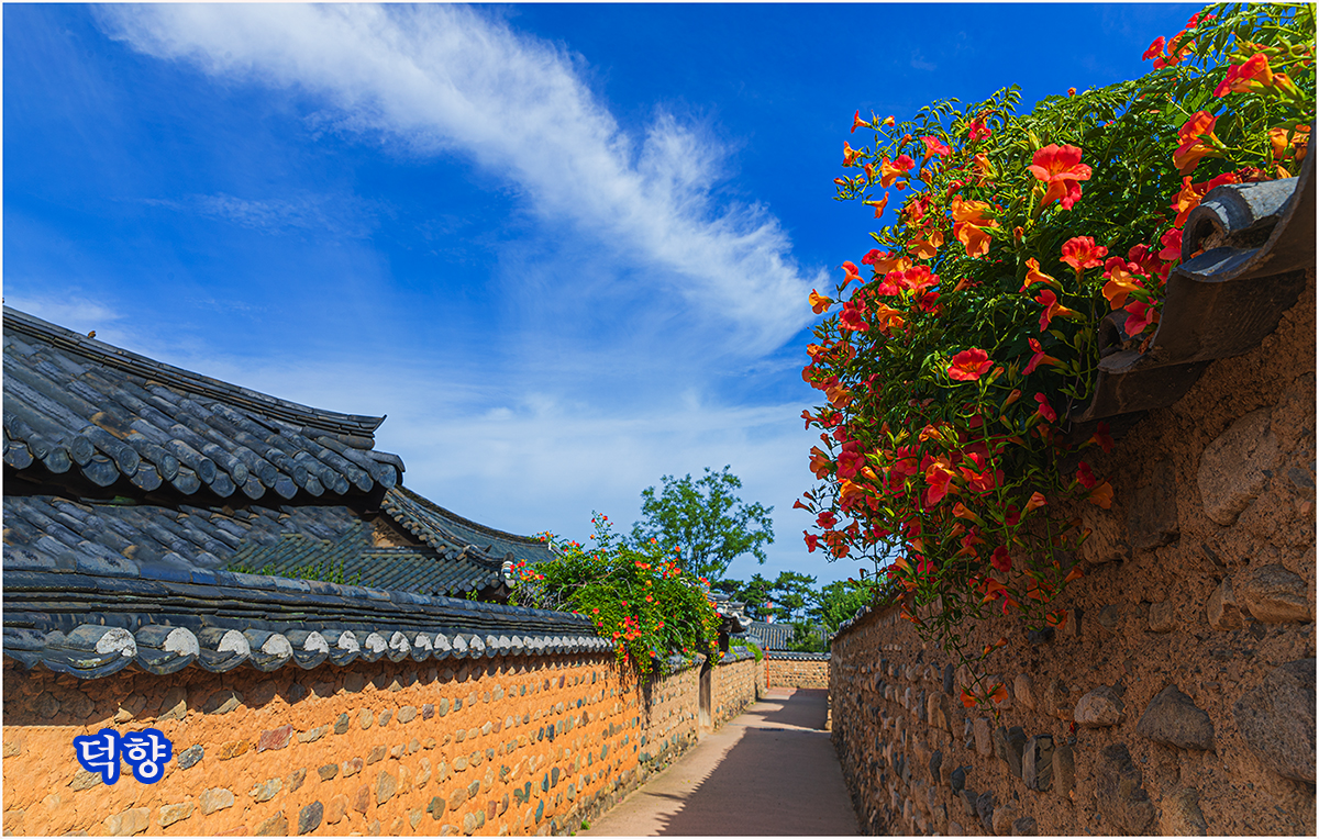 PHOTO BY  | Canon EOS-1D X Mark II | 2024:06:25 08:20:04 | ISO-100 | 3/10 sec | f 7.1 | 24 mm | EV=0 | ● WIDTH:1200 pixels  HEIGHT:764 pixels