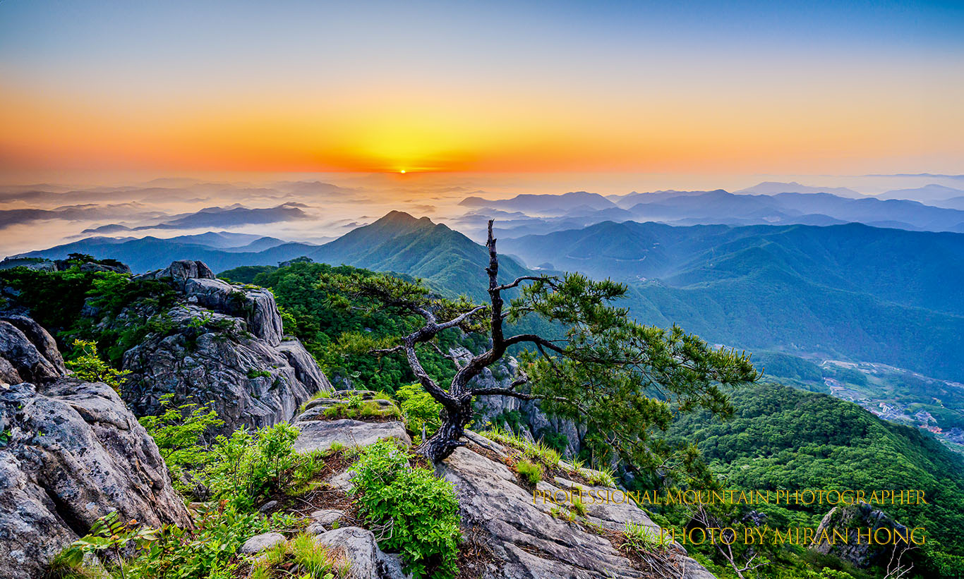 PHOTO BY HONG_MI_RAN | NIKON Z 8 | 2023:05:19 05:24:02 | ISO-200 | 1/15 sec | f 13 | 14 mm | EV=0 | ● WIDTH:1366 pixels  HEIGHT:821 pixels
