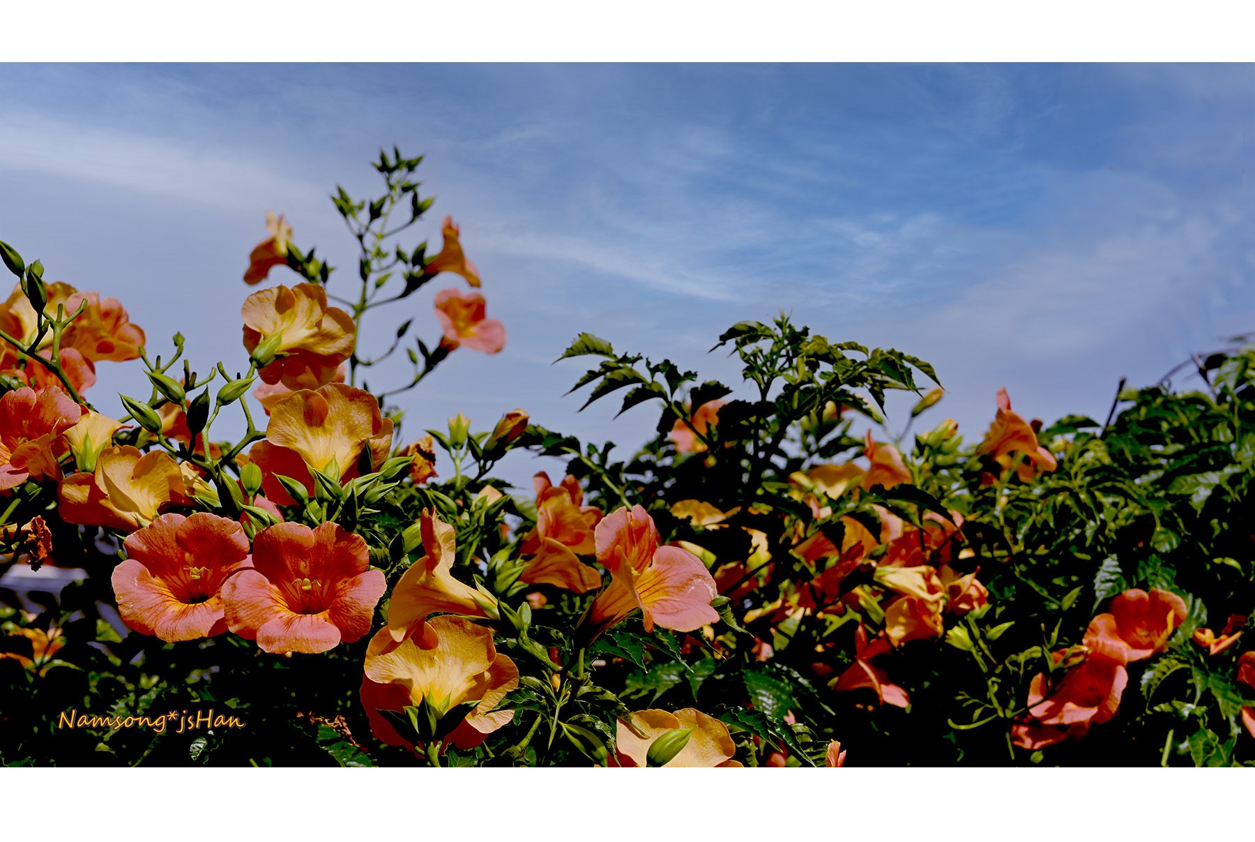 PHOTO BY HAN_JONGSOO | NIKON Z fc | 2024:06:21 15:41:08 | ISO-100 | 1/800 sec | f 8 | 50 mm | EV=-1.3 | ● WIDTH:1800 pixels  HEIGHT:1011 pixels