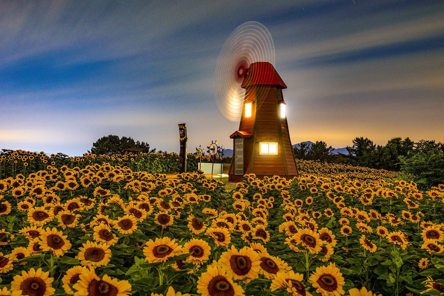 PHOTO BY  | NIKON D850 | 2024:06:25 22:40:51 | ISO-320 | 180/1 sec | f 8 | 40 mm | EV=0 | ● WIDTH:1500 pixels  HEIGHT:1000 pixels