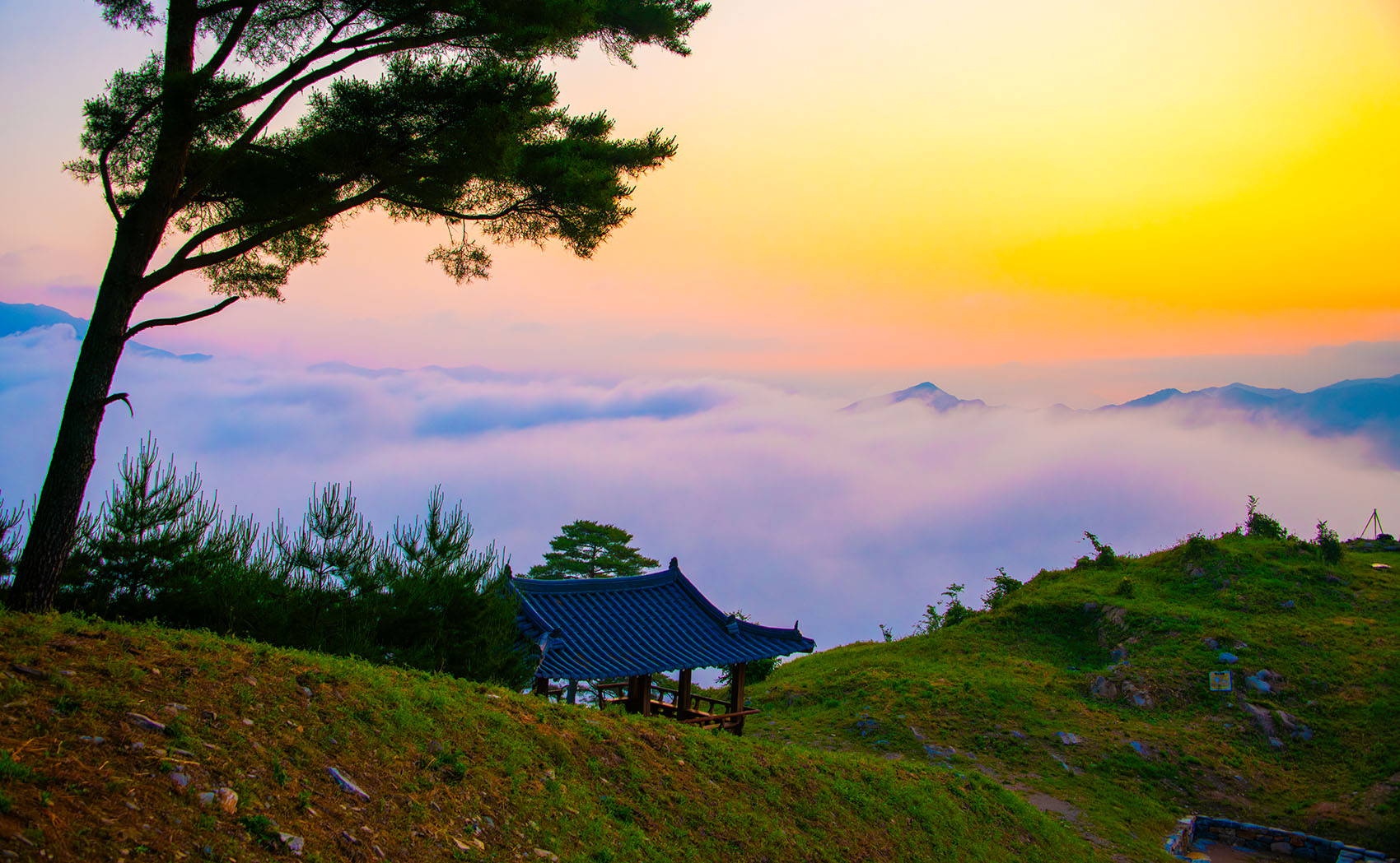 PHOTO BY  | NIKON D850 | 2024:06:02 05:12:25 | ISO-400 | 1/2000 sec | f 5.6 | 38 mm | EV=0 | ● WIDTH:1700 pixels  HEIGHT:1049 pixels