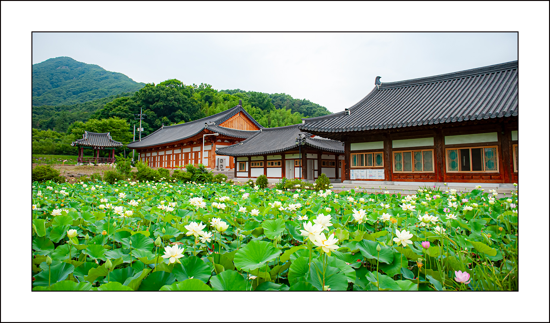   | PHOTO BY : 삿갓/정봉식  |