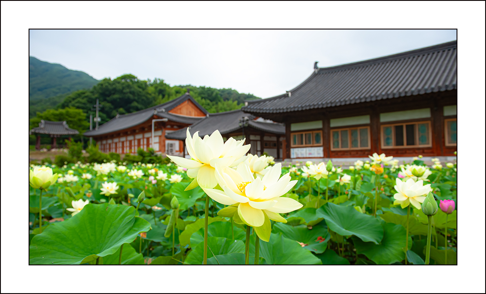   | PHOTO BY : 삿갓/정봉식  |