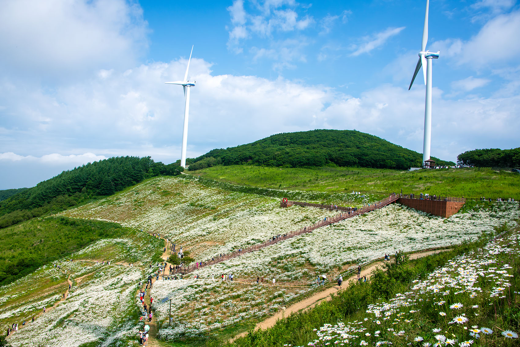 PHOTO BY  | NIKON D850 | 2024:06:15 09:15:49 | ISO-400 | 1/1000 sec | f 13 | 28 mm | EV=0 | ● WIDTH:1700 pixels  HEIGHT:1133 pixels