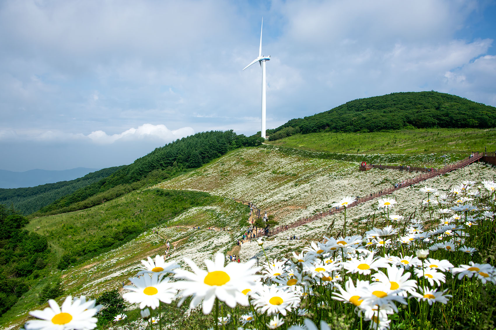 PHOTO BY  | NIKON D850 | 2024:06:15 09:18:47 | ISO-400 | 1/1250 sec | f 13 | 28 mm | EV=0 | ● WIDTH:1700 pixels  HEIGHT:1133 pixels