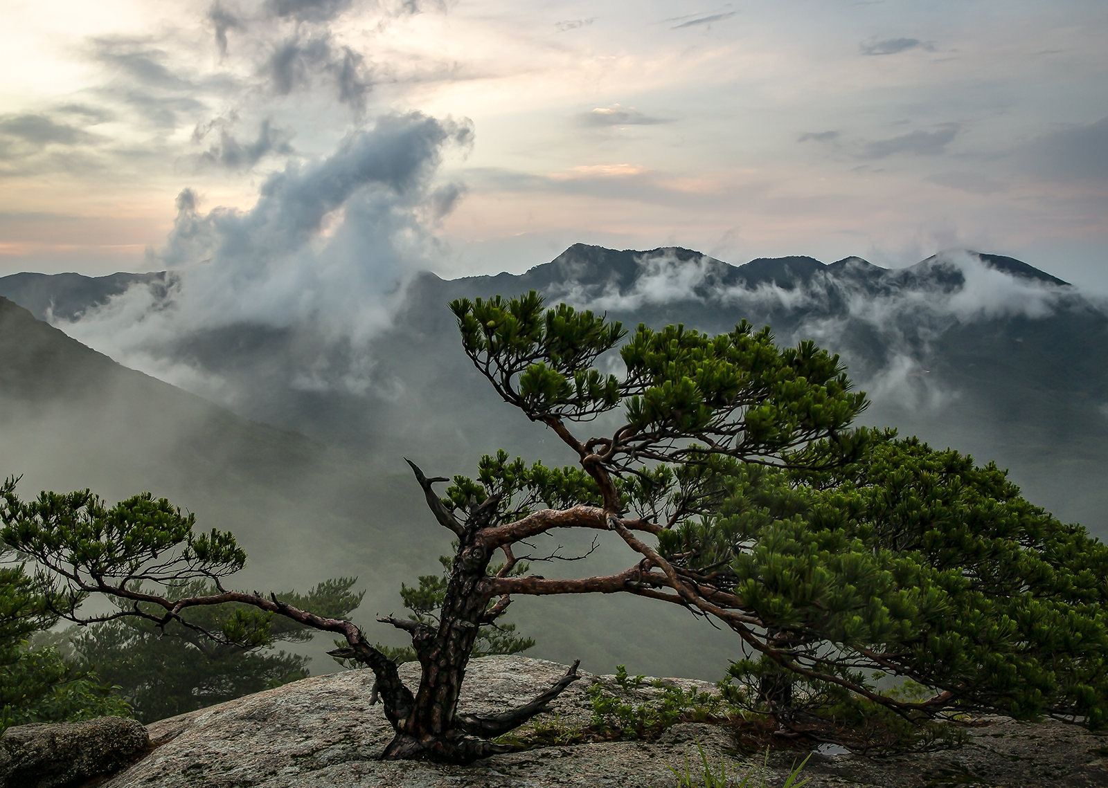 PHOTO BY MINKYUKIM | Canon EOS 5D Mark III | 2024:06:23 19:19:50 | ISO-200 | 1/50 sec | f 5.6 | 28 mm | EV=0 | ● WIDTH:1600 pixels  HEIGHT:1139 pixels