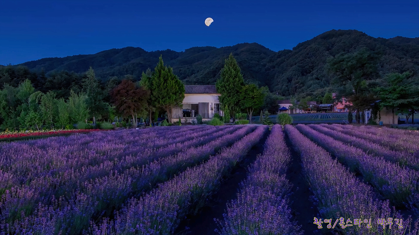 | PHOTO BY : 홀스타인/박무길  |