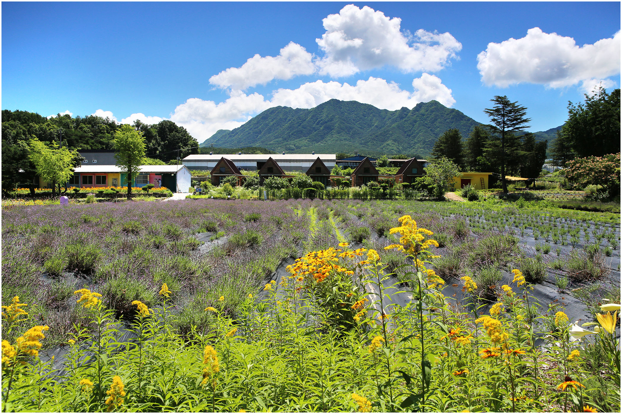   | PHOTO BY : 몰운대/조태열  |