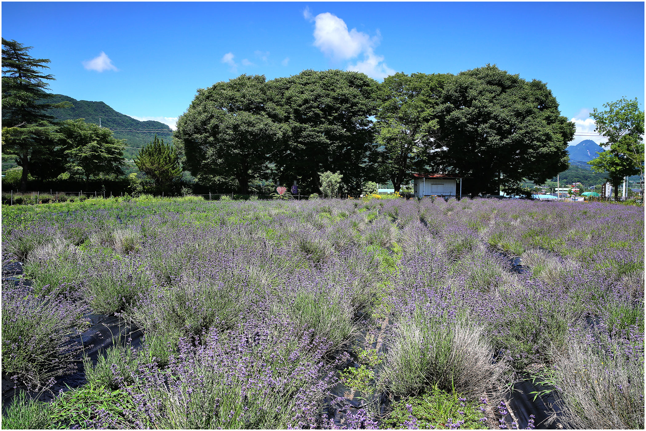   | PHOTO BY : 몰운대/조태열  |