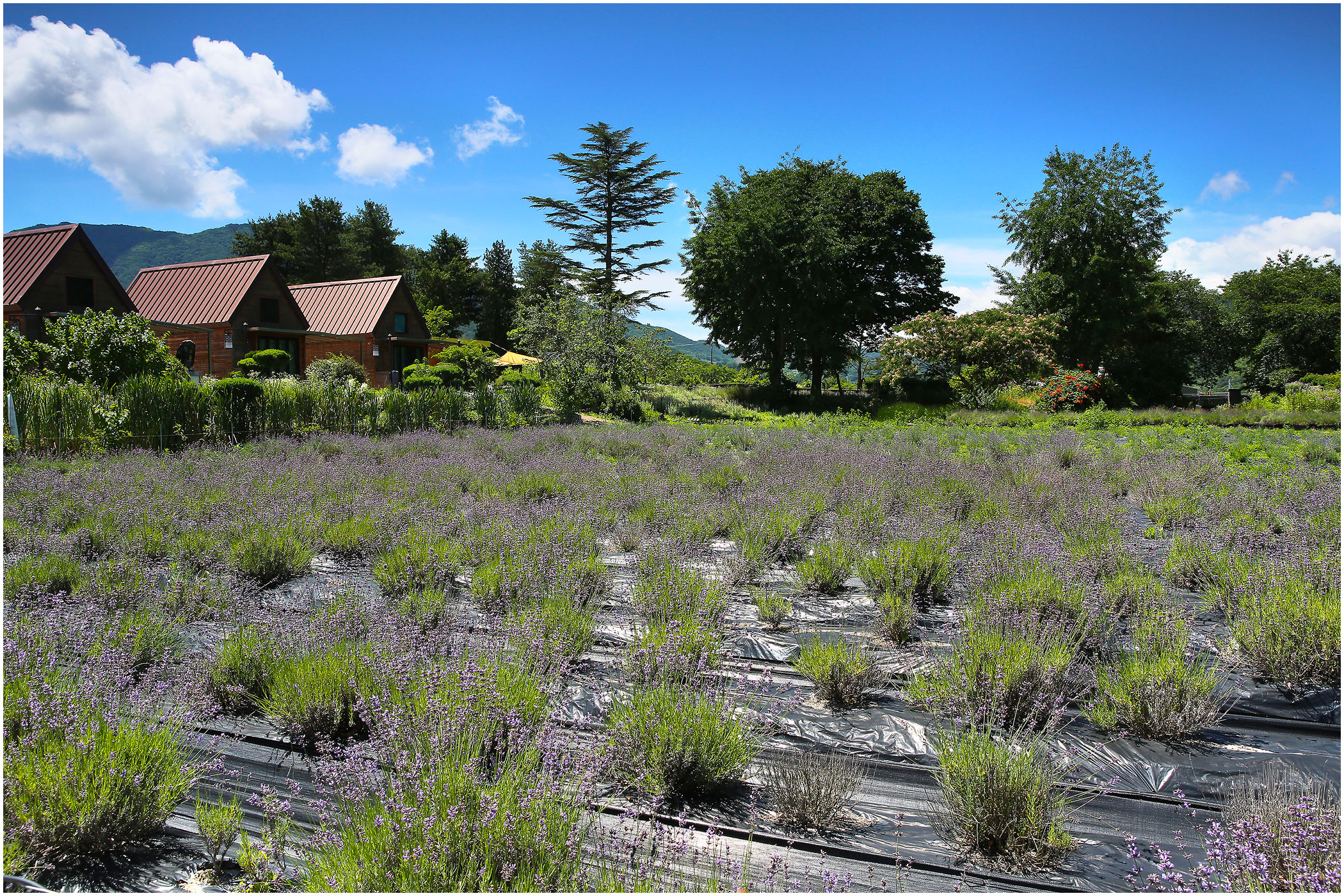   | PHOTO BY : 몰운대/조태열  |