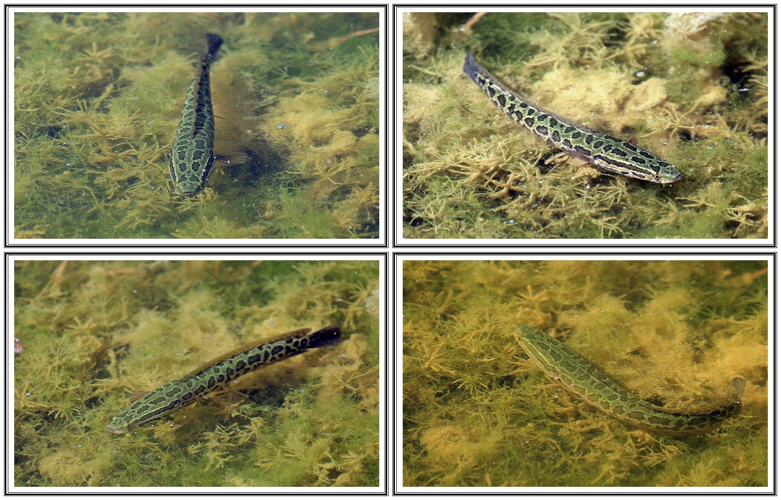   | PHOTO BY : 청산이종원  |