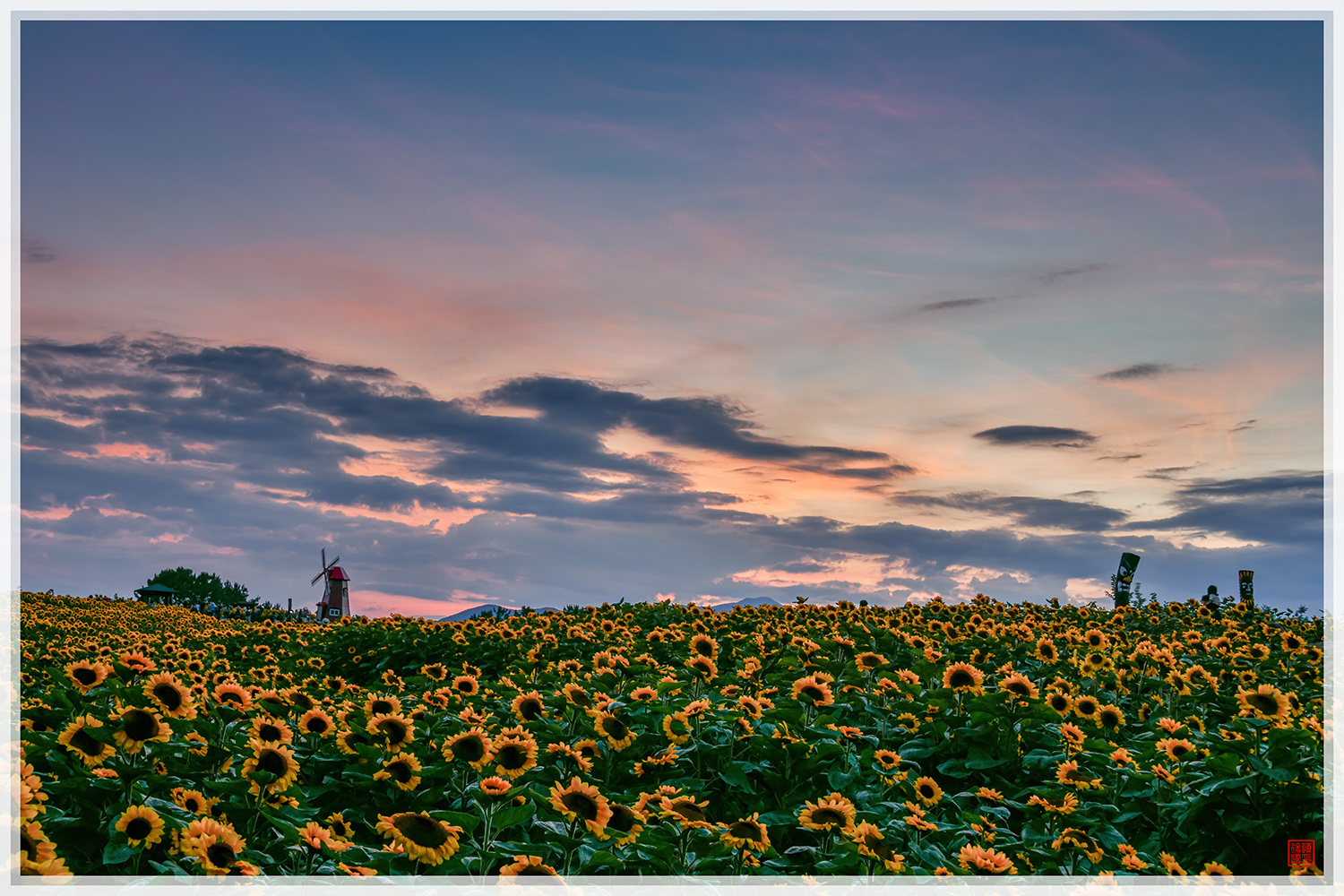 PHOTO BY  | NIKON D850 | 2024:06:28 19:47:42 | ISO-400 | 1/10 sec | f 13 | 45 mm | EV=0.7 | ● WIDTH:1500 pixels  HEIGHT:1000 pixels