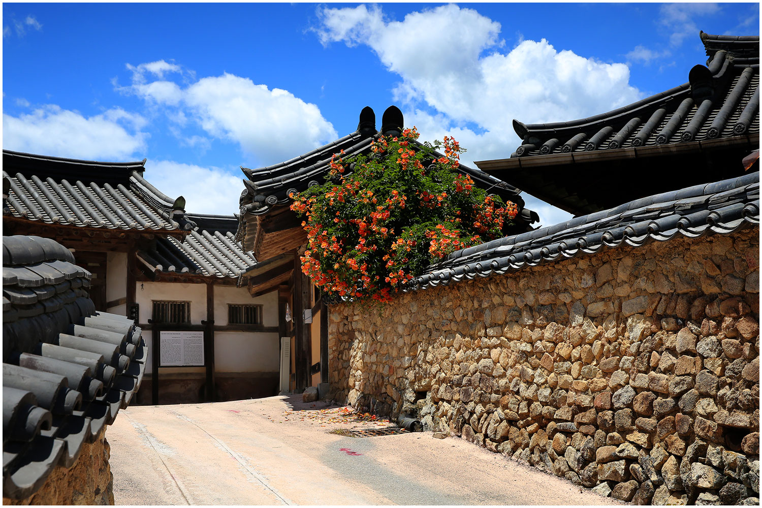 | PHOTO BY : 몰운대/조태열  |