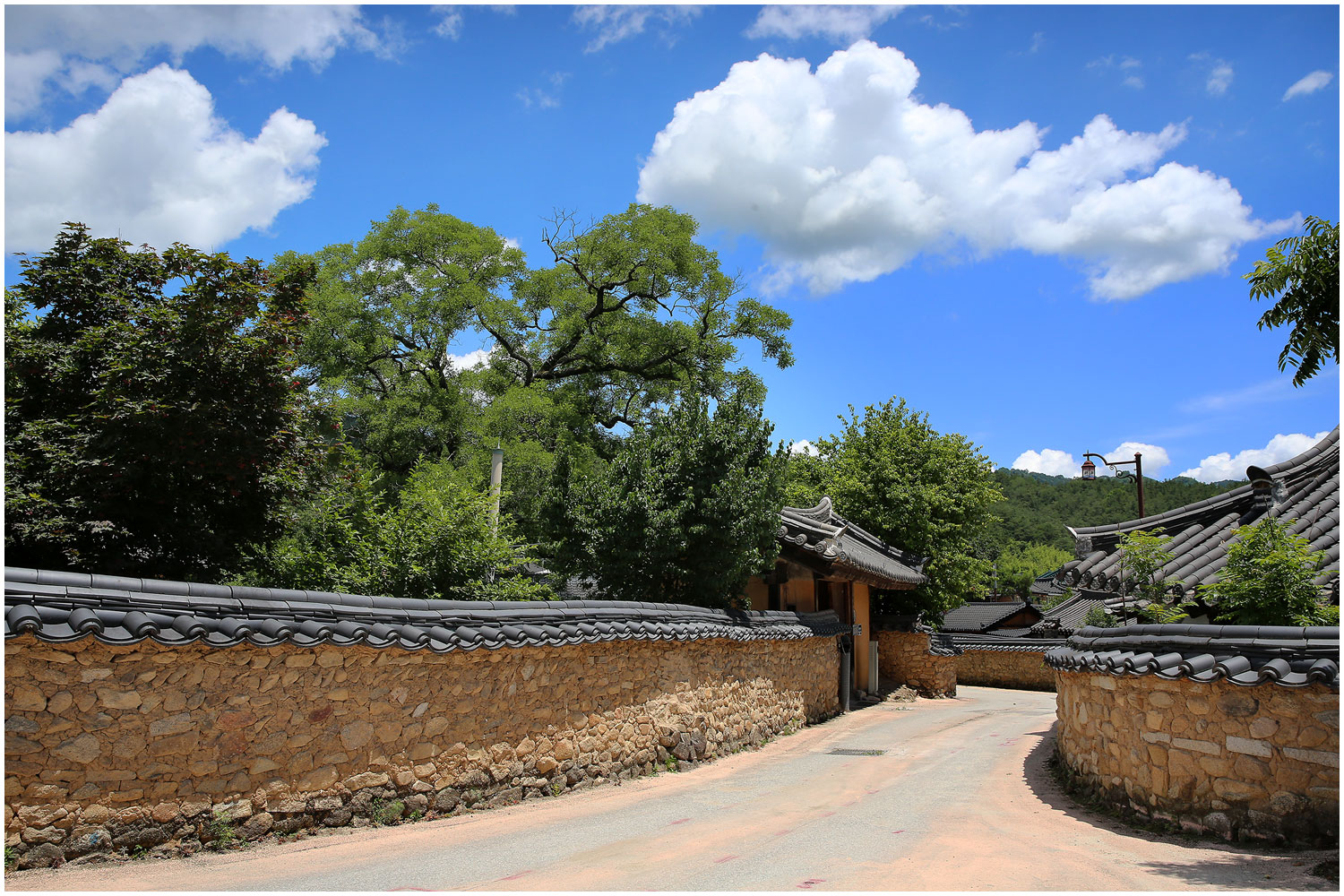 | PHOTO BY : 몰운대/조태열  |