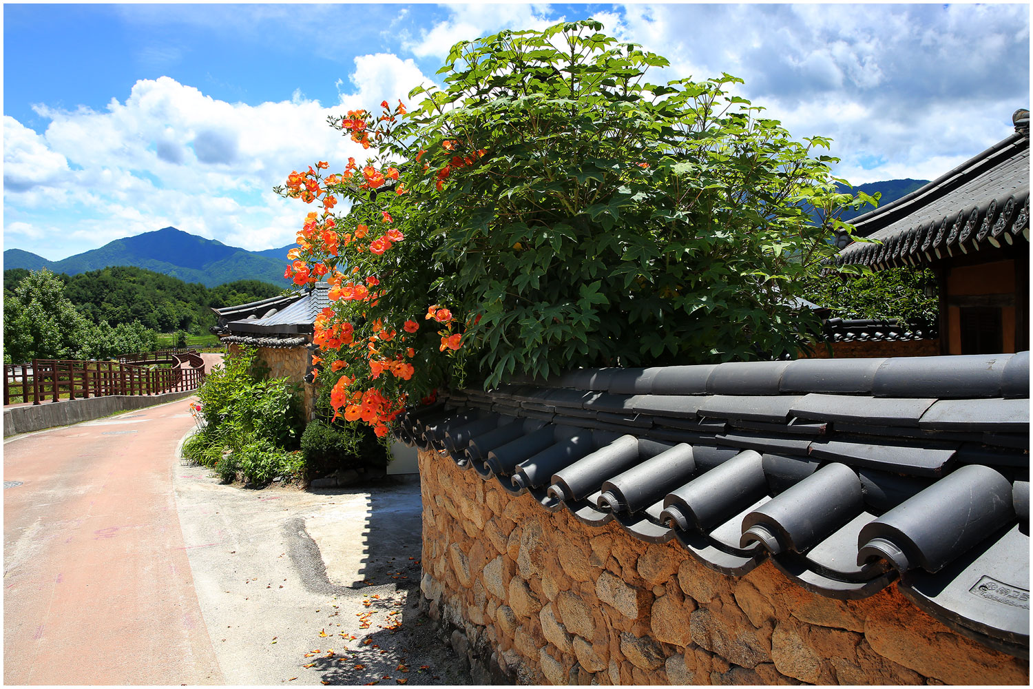 | PHOTO BY : 몰운대/조태열  |