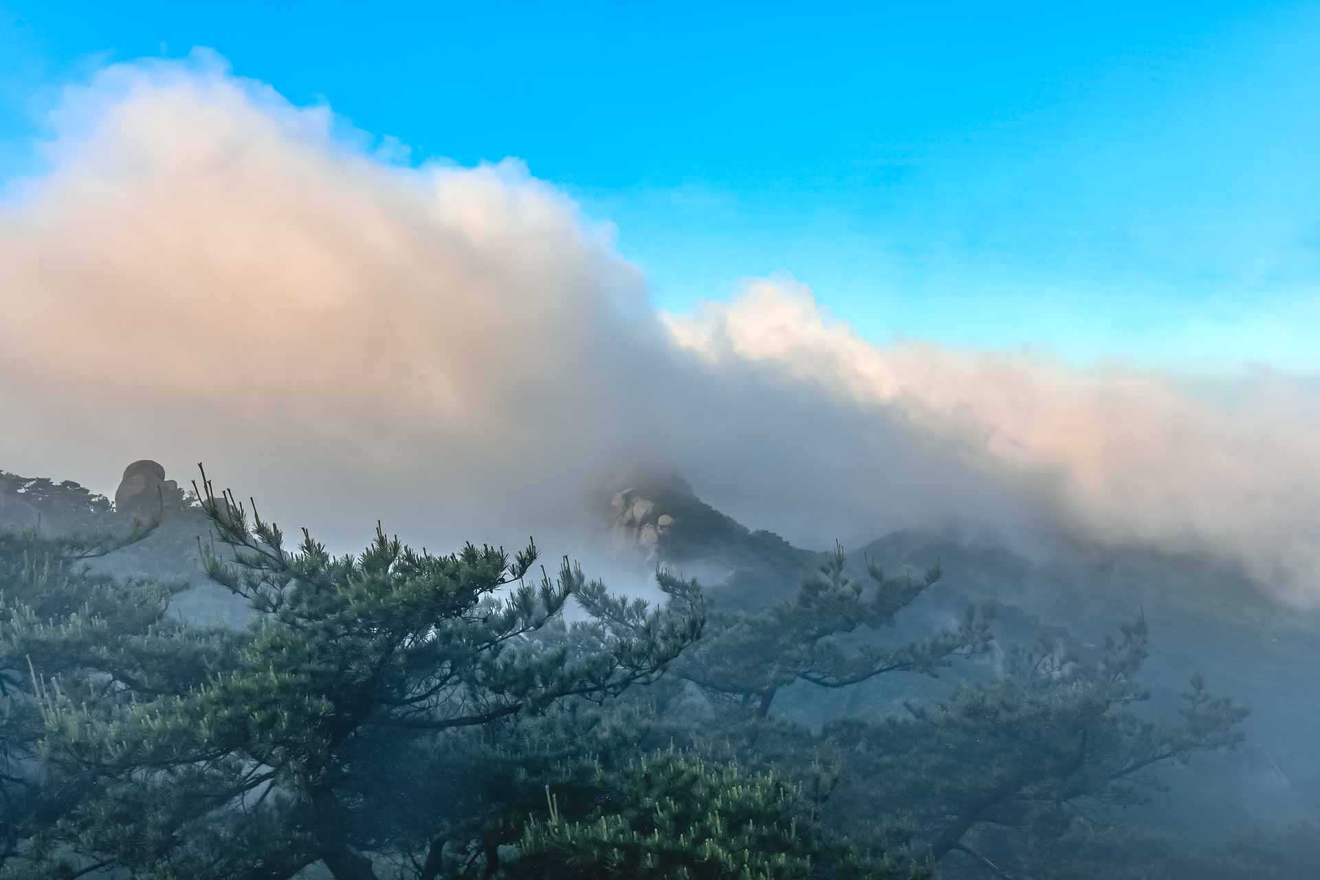 PHOTO BY Jae Ik Lee | NIKON D850 | 2024:05:27 06:12:46 | ISO-200 | 1/160 sec | f 10 | 31 mm | EV=0 | ● WIDTH:  HEIGHT: