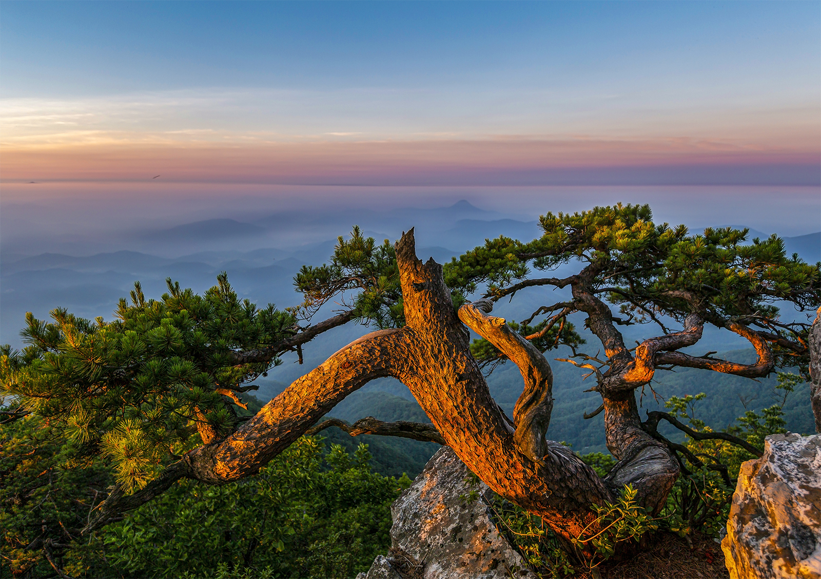 PHOTO BY MINKYUKIM | Canon EOS 5D Mark III | 2024:06:29 04:54:54 | ISO-200 | 1/125 sec | f 4 | 21 mm | EV=0 | ● WIDTH:1600 pixels  HEIGHT:1128 pixels