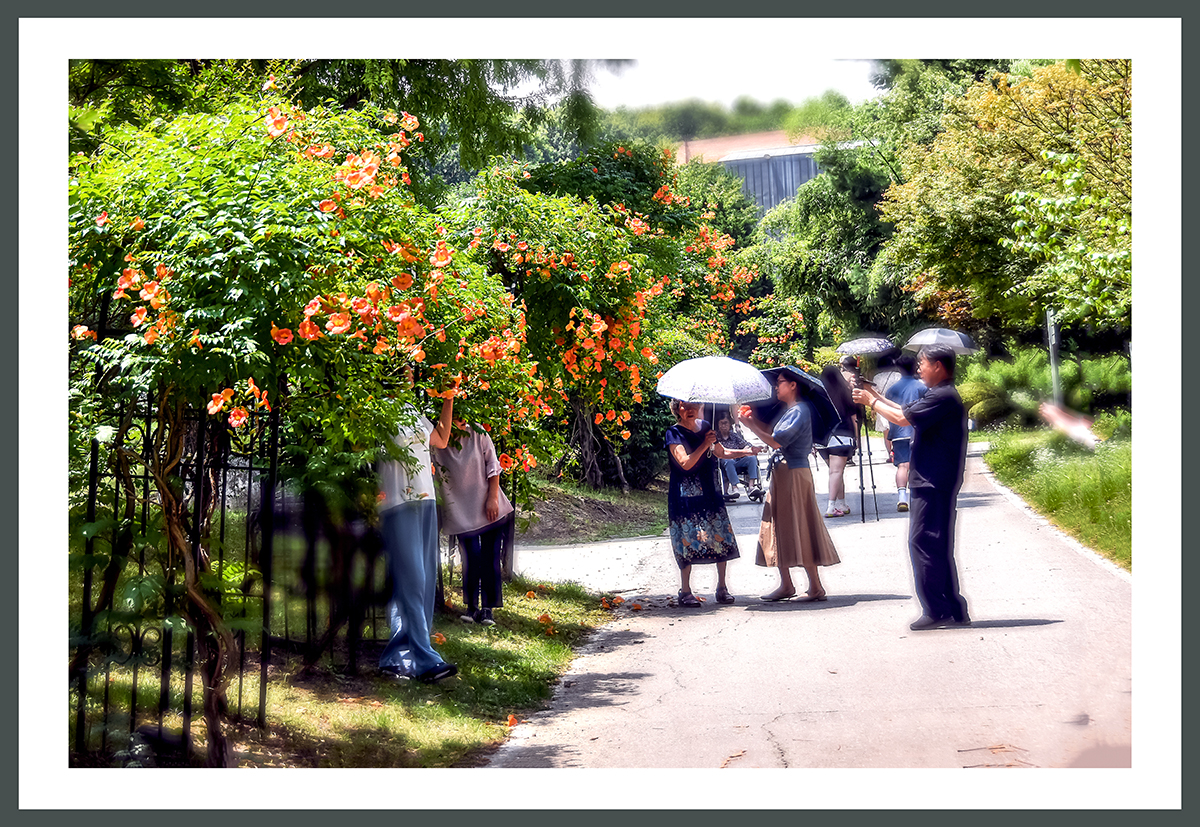 PHOTO BY  | NIKON D5500 | 2024:06:29 11:36:48 | ISO-400 | 1/400 sec | f 5.6 | 52 mm | EV=-0.3 | ● WIDTH:1200 pixels  HEIGHT:827 pixels