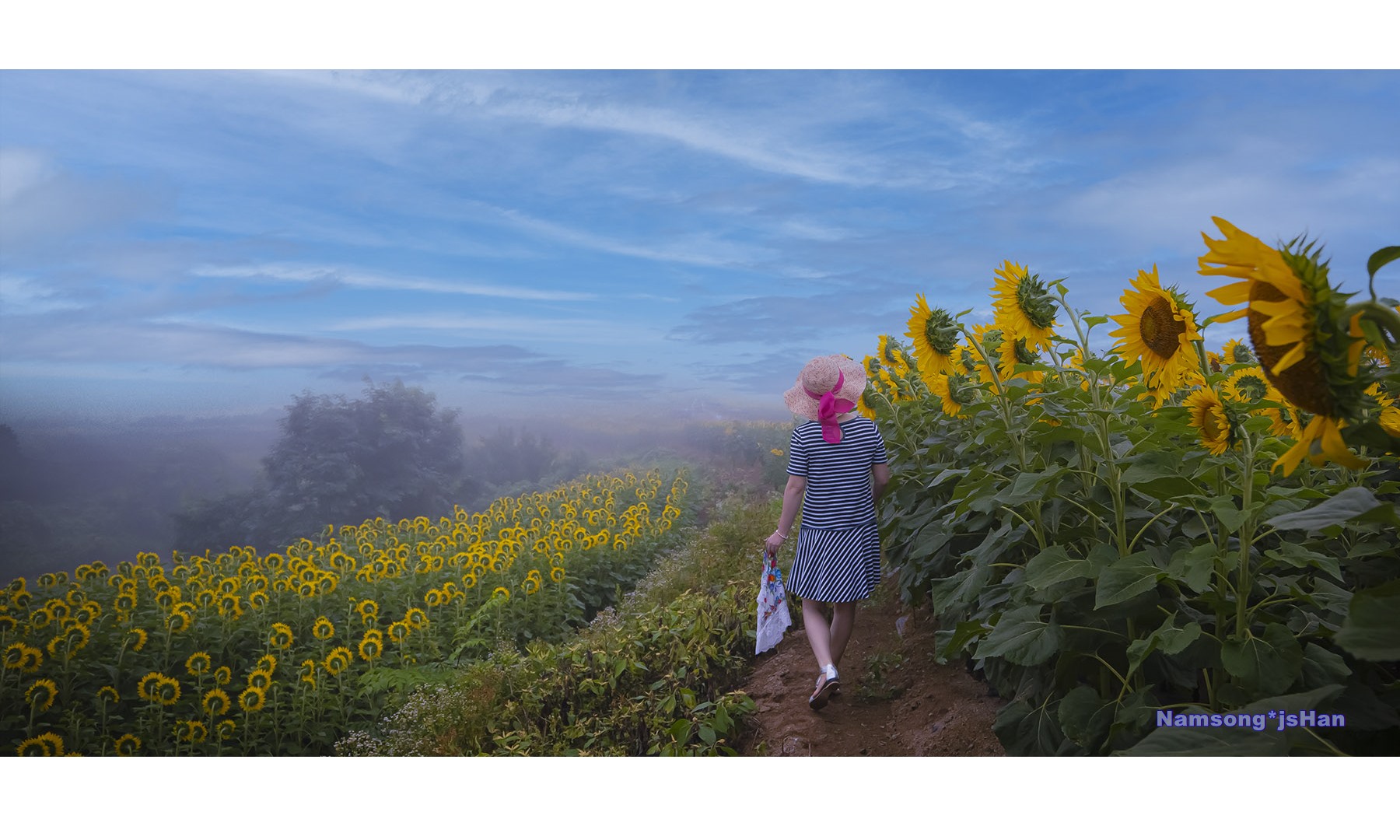   | PHOTO BY : 南松  |