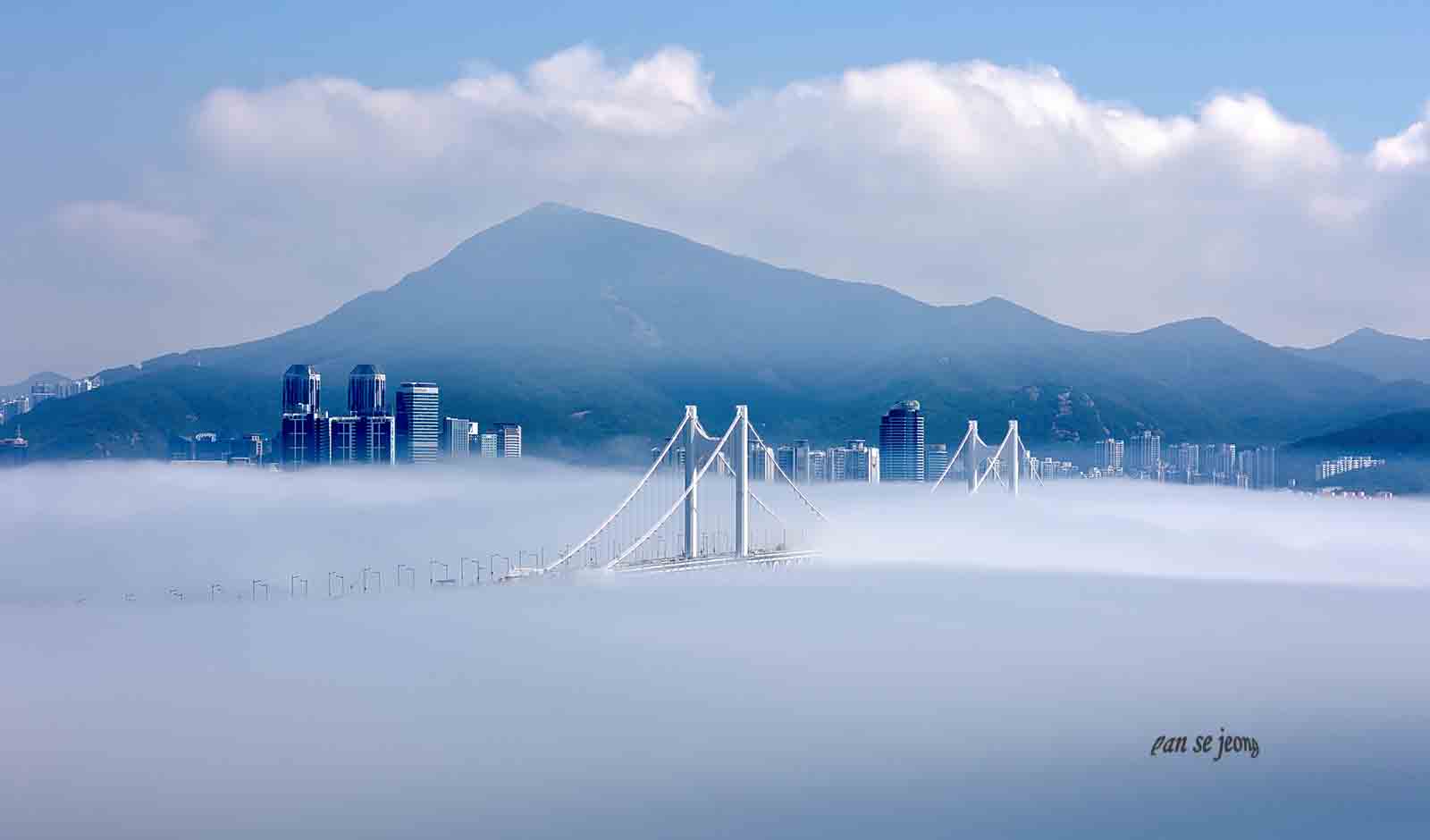 PHOTO BY jps | Canon EOS R6 | 2024:06:28 10:06:27 | ISO-200 | 1/500 sec | f 13 | 95 mm | EV=0 | ● WIDTH:1600 pixels  HEIGHT:940 pixels