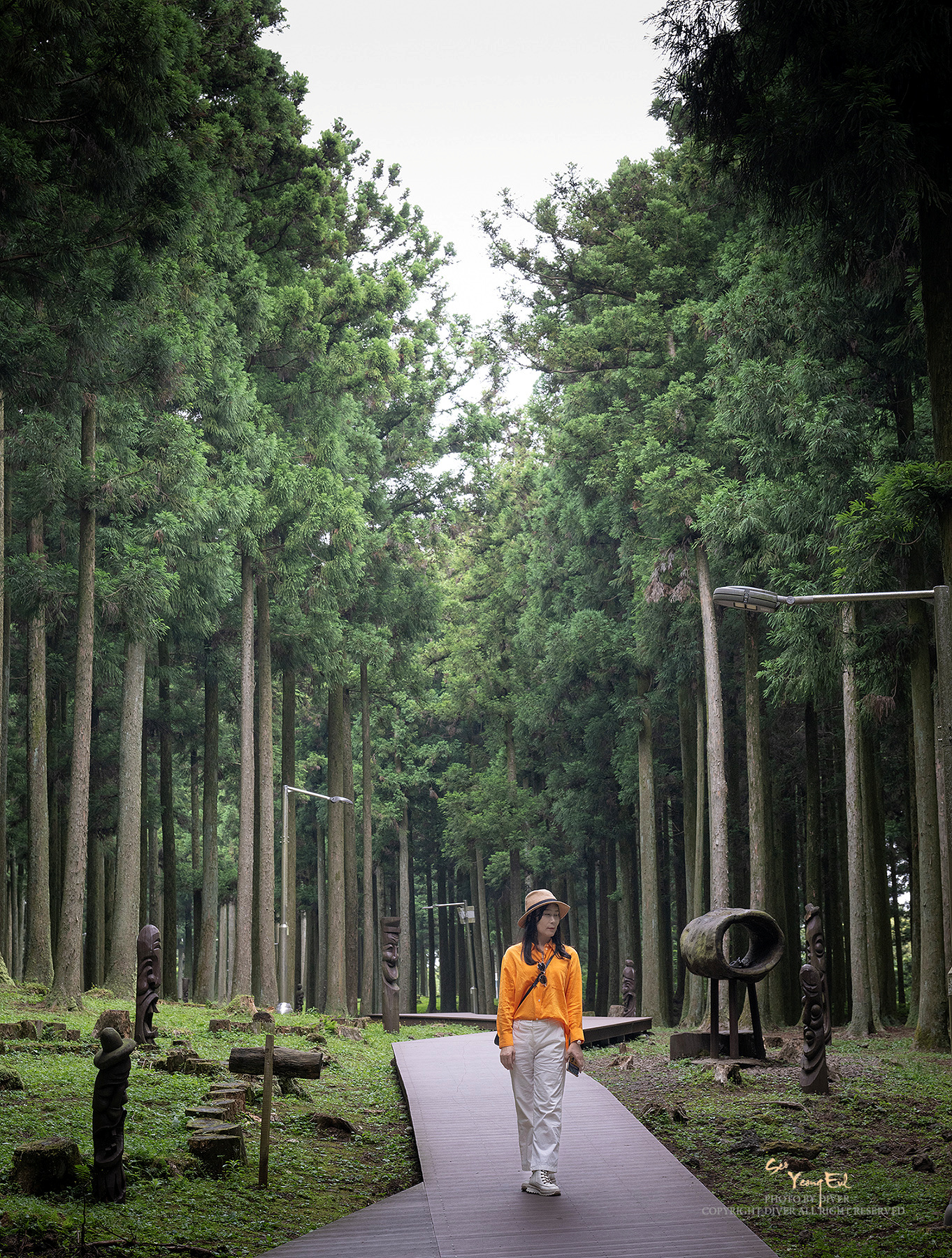 PHOTO BY  | NIKON Z 9 | 2024:06:14 10:39:38 | ISO-400 | 1/100 sec | f 7.1 | 59 mm | EV=0 | ● WIDTH:1362 pixels  HEIGHT:1800 pixels