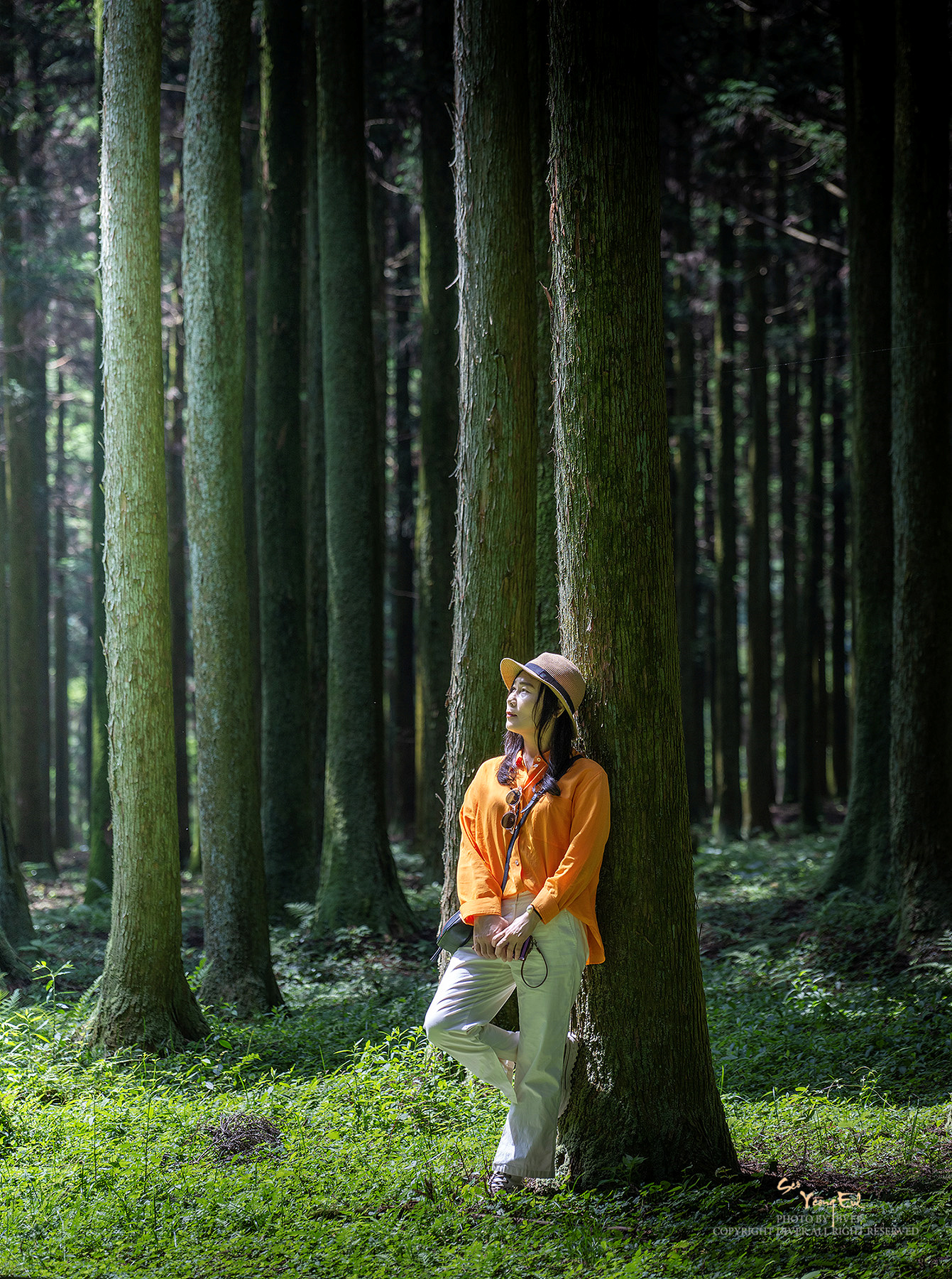 PHOTO BY  | NIKON Z 9 | 2024:06:14 10:44:24 | ISO-100 | 1/320 sec | f 4 | 105 mm | EV=0 | ● WIDTH:1341 pixels  HEIGHT:1800 pixels