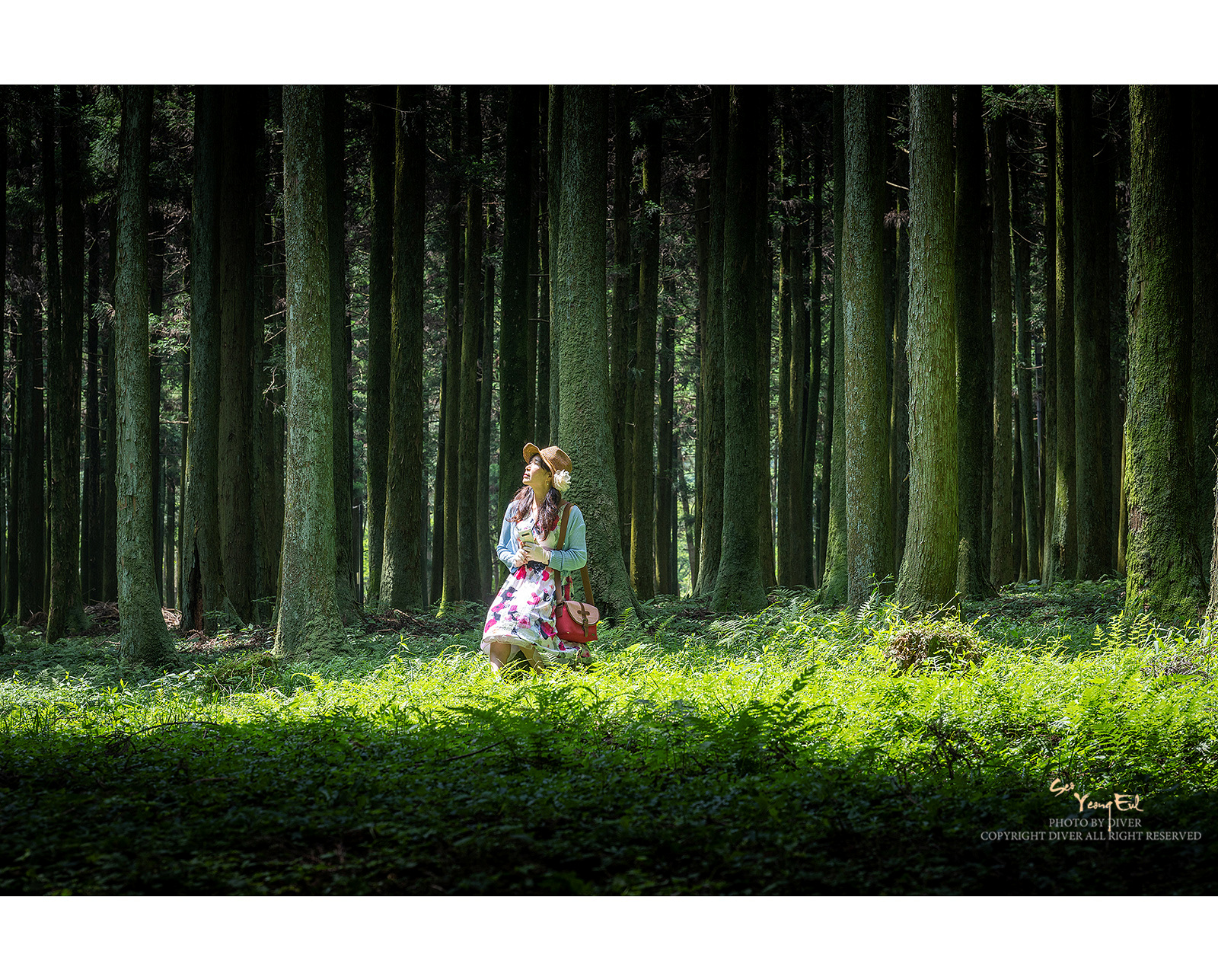 PHOTO BY  | NIKON Z 9 | 2024:06:14 10:48:01 | ISO-100 | 1/50 sec | f 8 | 82 mm | EV=0 | ● WIDTH:1600 pixels  HEIGHT:1287 pixels