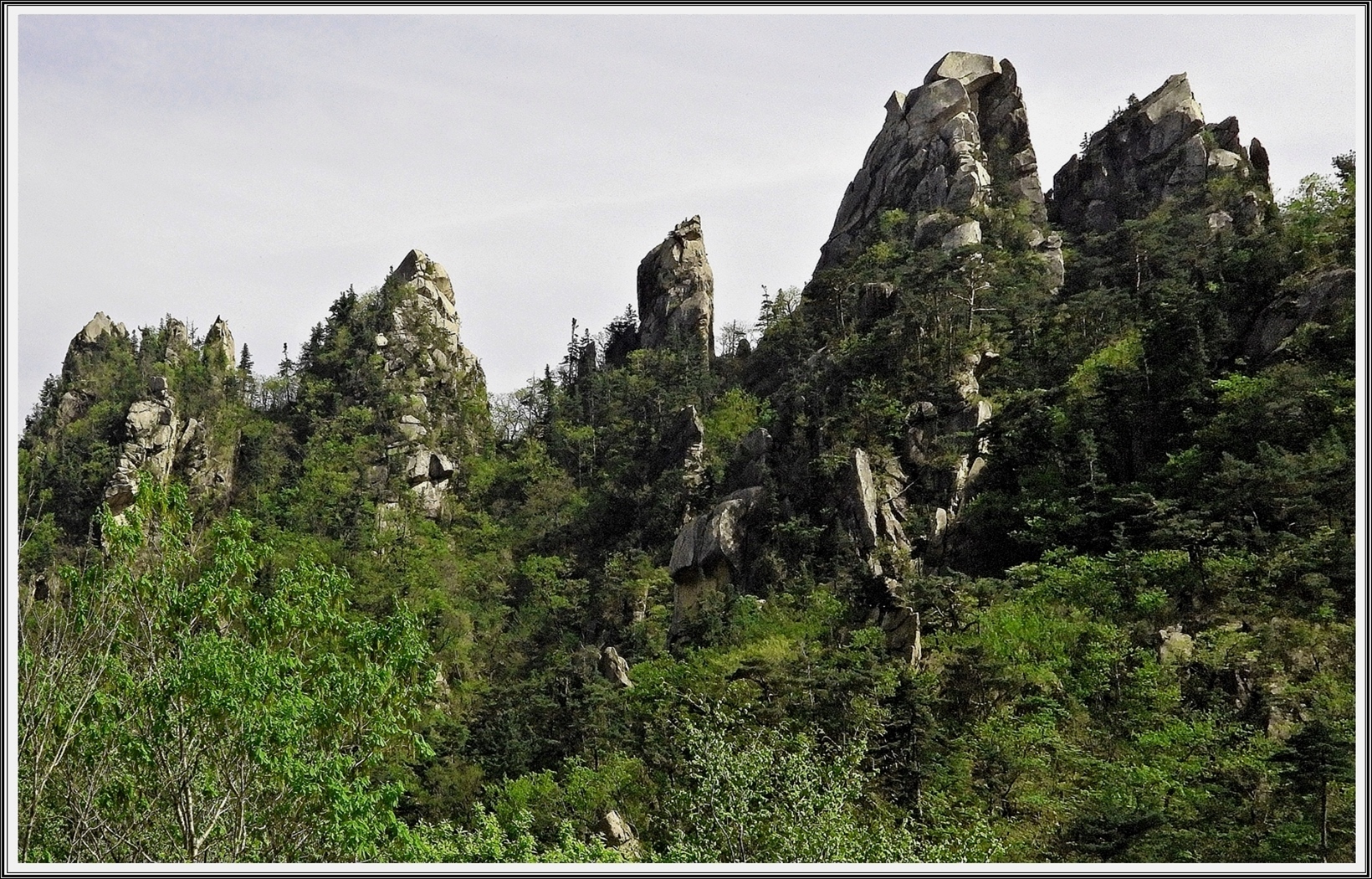 PHOTO BY  | COOLPIX P1000 | 2024:05:01 14:59:39 | ISO-400 | 1/1600 sec | f 3.5 | 12.6 mm | EV=0 | ● WIDTH:4608 pixels  HEIGHT:3456 pixels