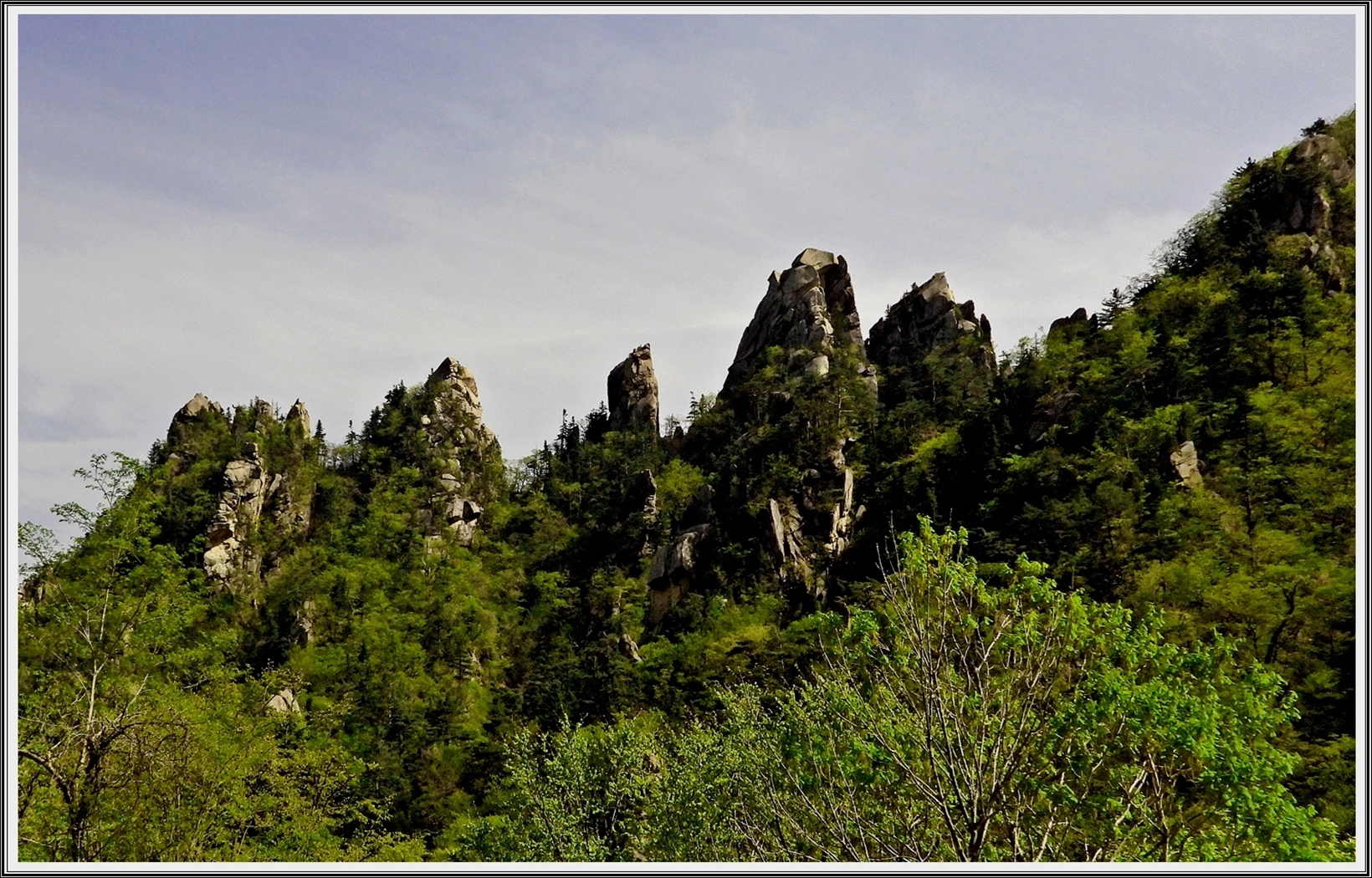 PHOTO BY  | COOLPIX P1000 | 2024:05:01 14:59:04 | ISO-400 | 1/1600 sec | f 3.2 | 9 mm | EV=0 | ● WIDTH:4608 pixels  HEIGHT:3456 pixels