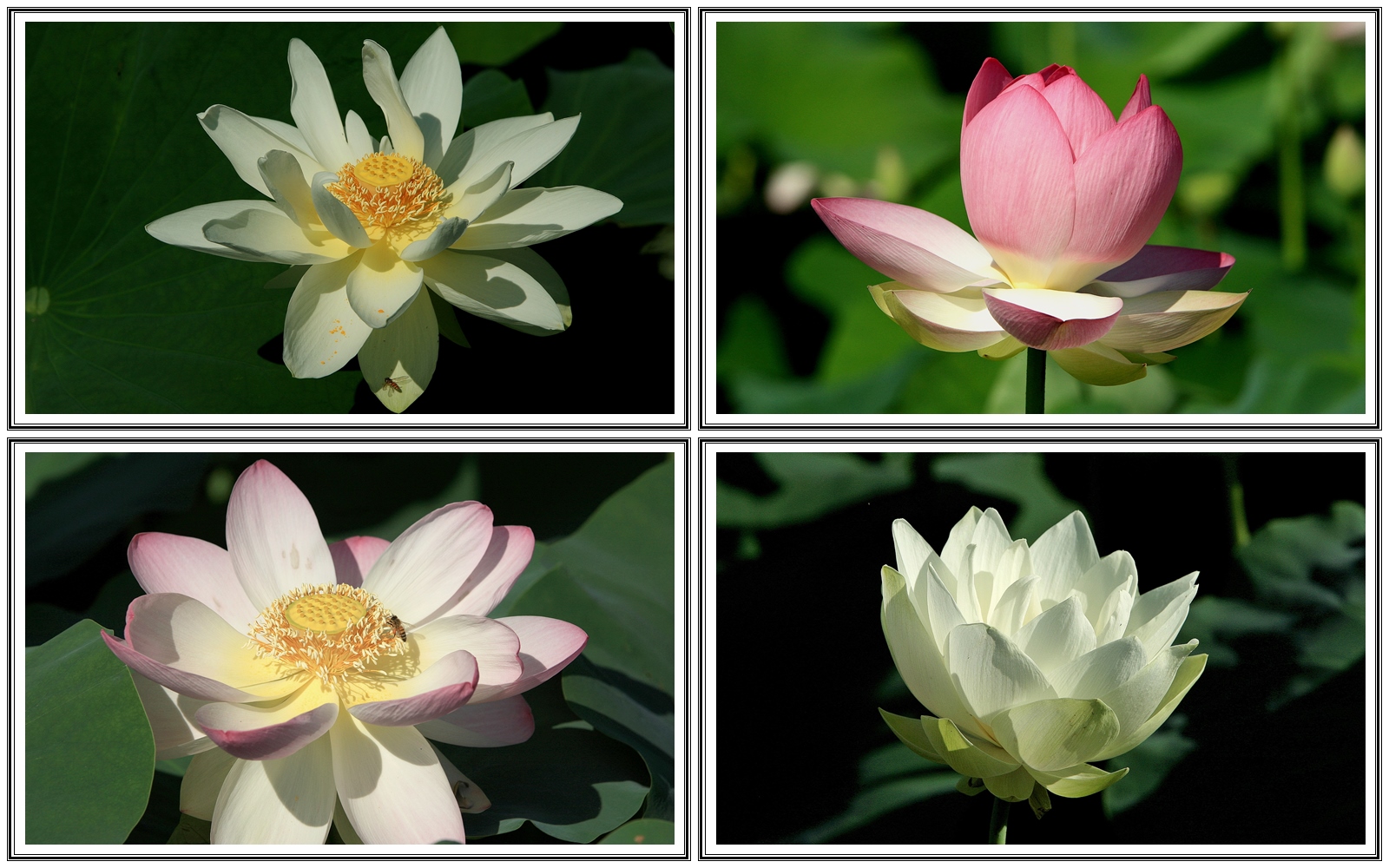 | PHOTO BY : 청산이종원  |