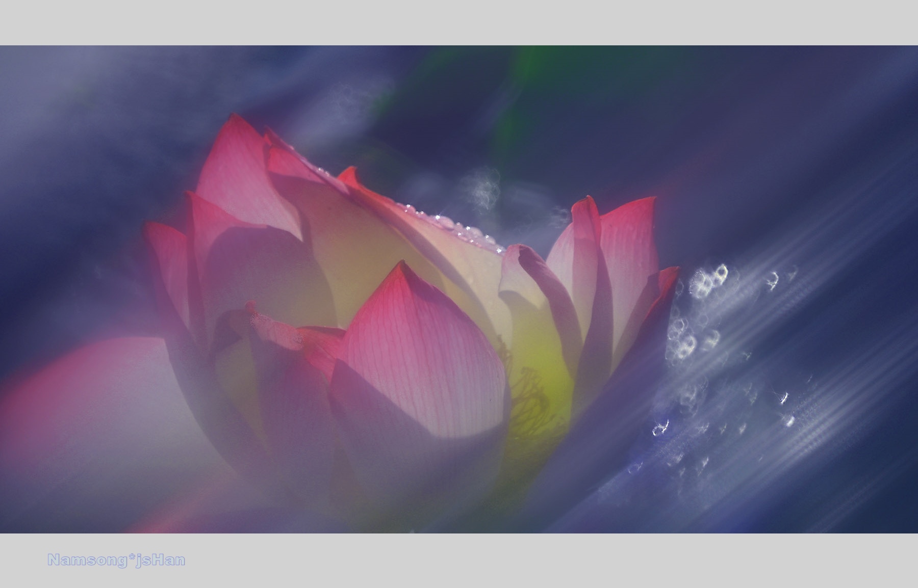 PHOTO BY HAN_JONGSOO | NIKON Z fc | 2024:06:28 07:15:45 | ISO-100 | 1/500 sec | f 6.3 | 140 mm | EV=-0.7 | ● WIDTH:1800 pixels  HEIGHT:958 pixels