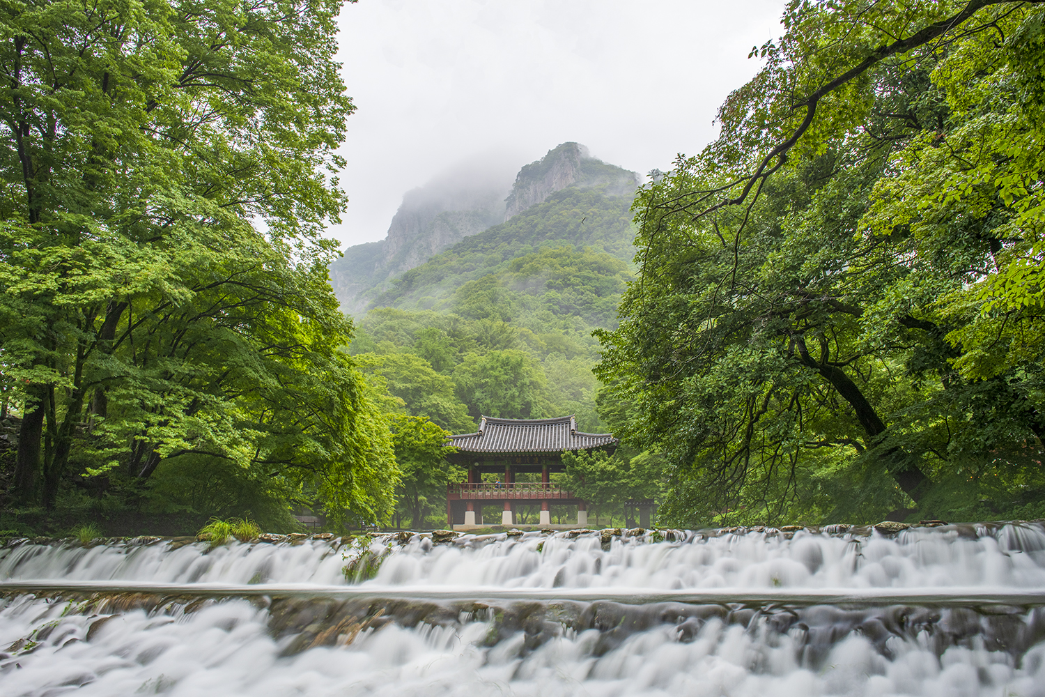 PHOTO BY  | NIKON D850 | 2024:06:30 16:40:47 | ISO-200 | 5/1 sec | f 8 | 27 mm | EV=0 | ● WIDTH:1500 pixels  HEIGHT:1000 pixels