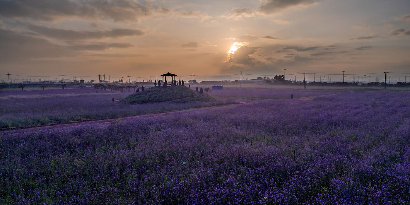   | PHOTO BY : 홀스타인/박무길  |