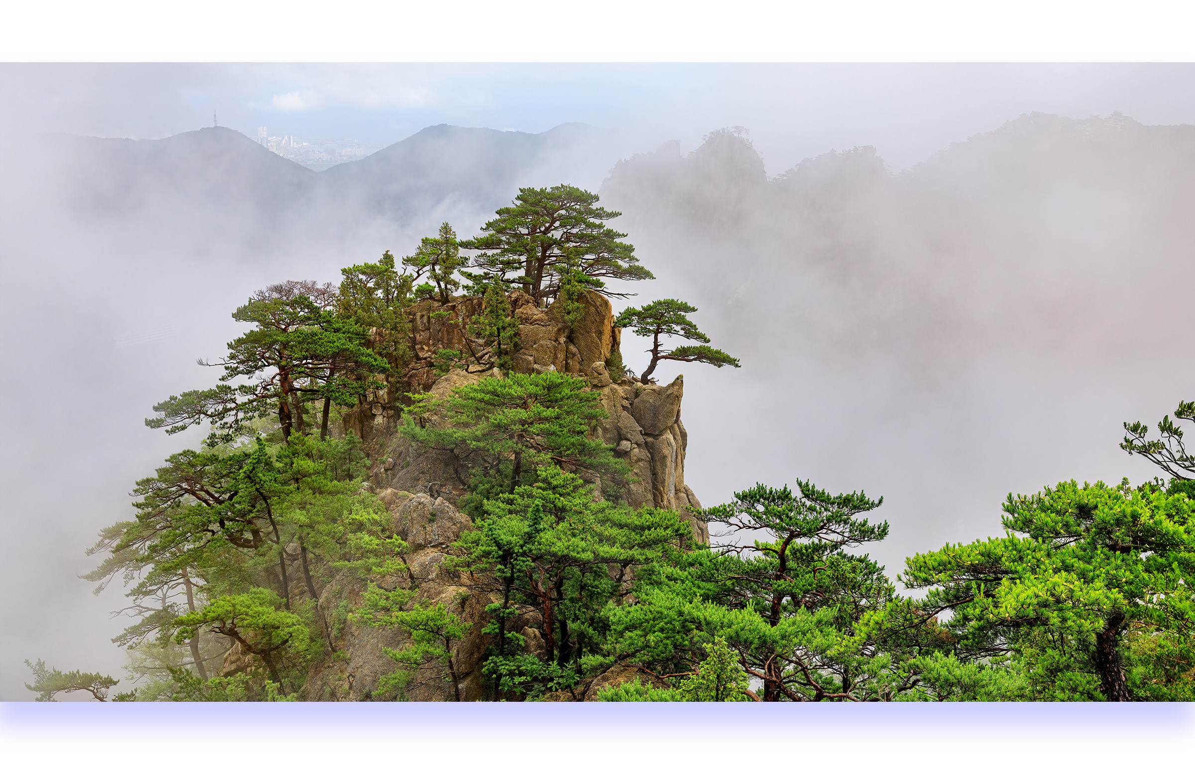 PHOTO BY photographer
PARK SEUNGWOO
S.KOREA | Canon EOS 5D Mark IV | 2021:07:17 14:41:51 | ISO-125 | 1/125 sec | f 9 | 41 mm | EV=0 | ● WIDTH:2400 pixels  HEIGHT:1535 pixels