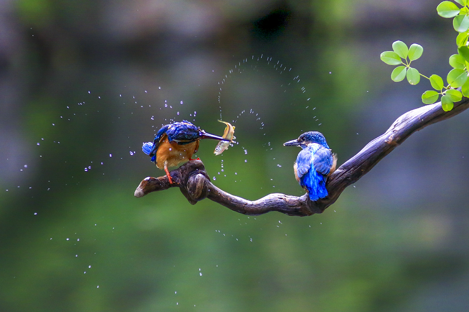 PHOTO BY  | CanonCanon |  | ISO- |  |  |  | EV=0 | ● WIDTH:  HEIGHT: