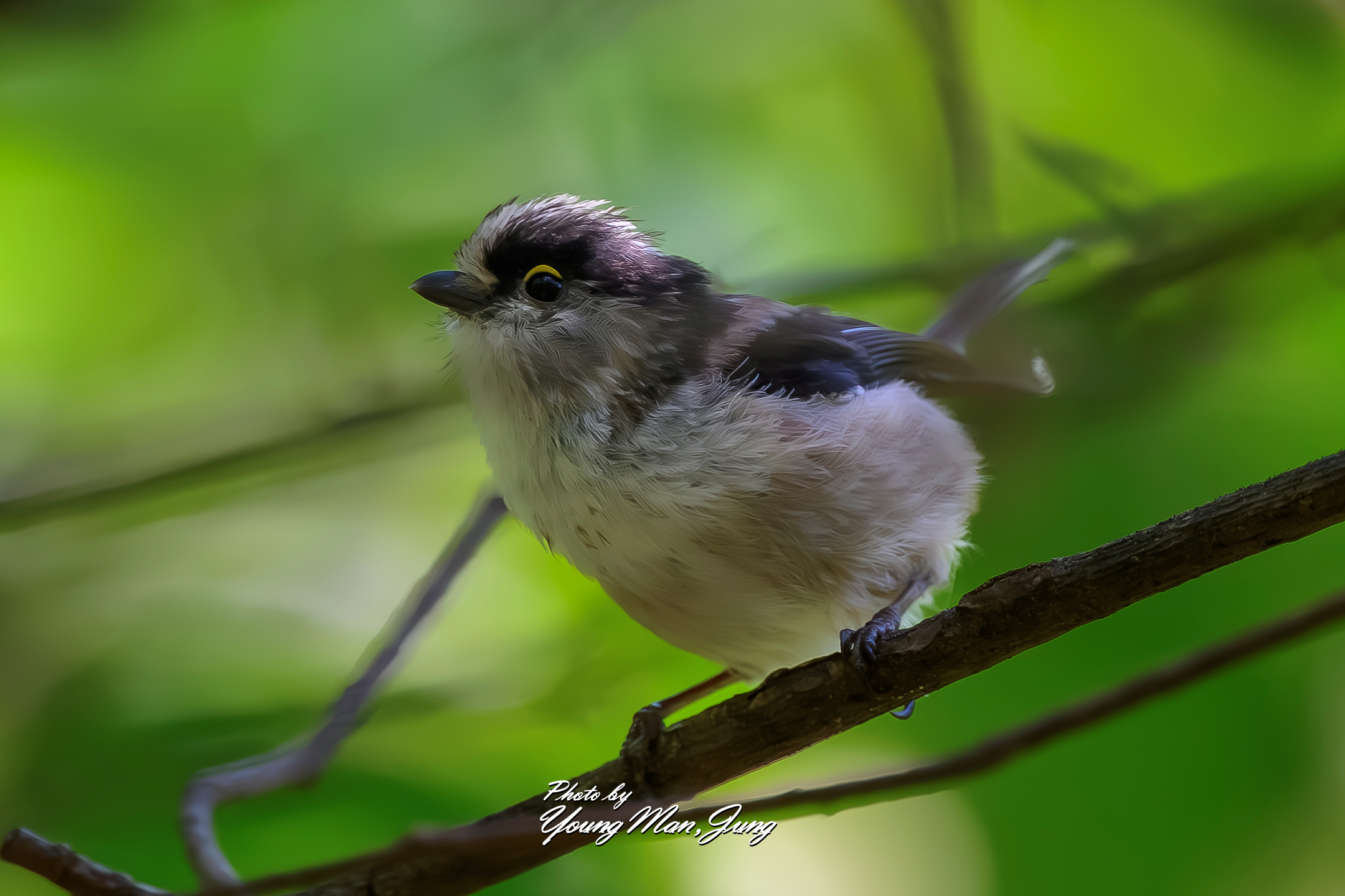   | PHOTO BY : 카파/정영만  |