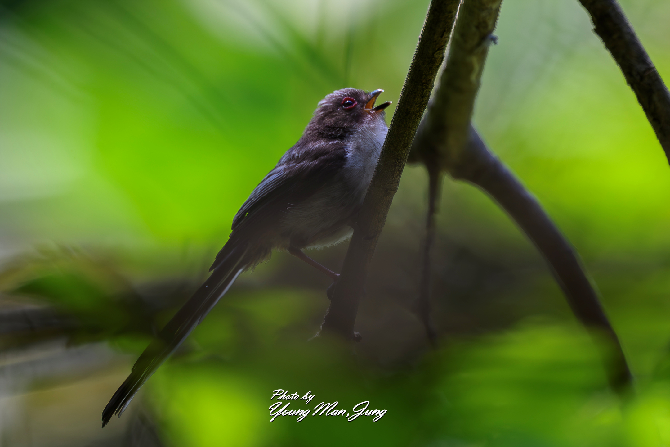   | PHOTO BY : 카파/정영만  |