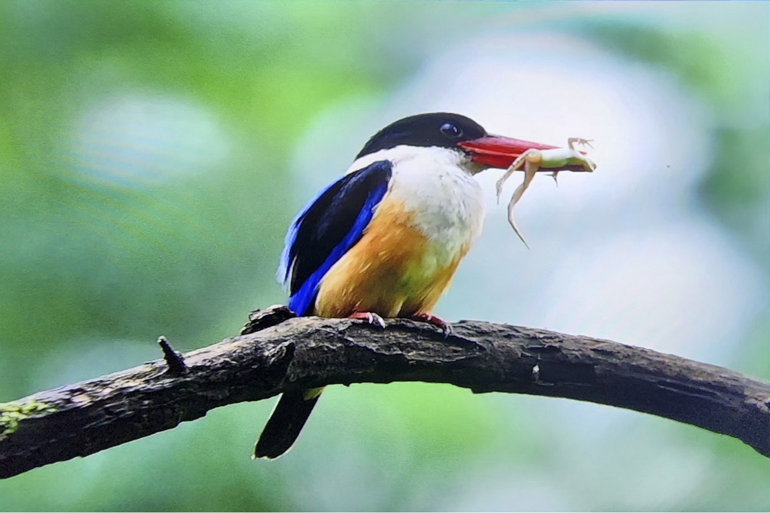 | PHOTO BY : 낙원/宣孝  |