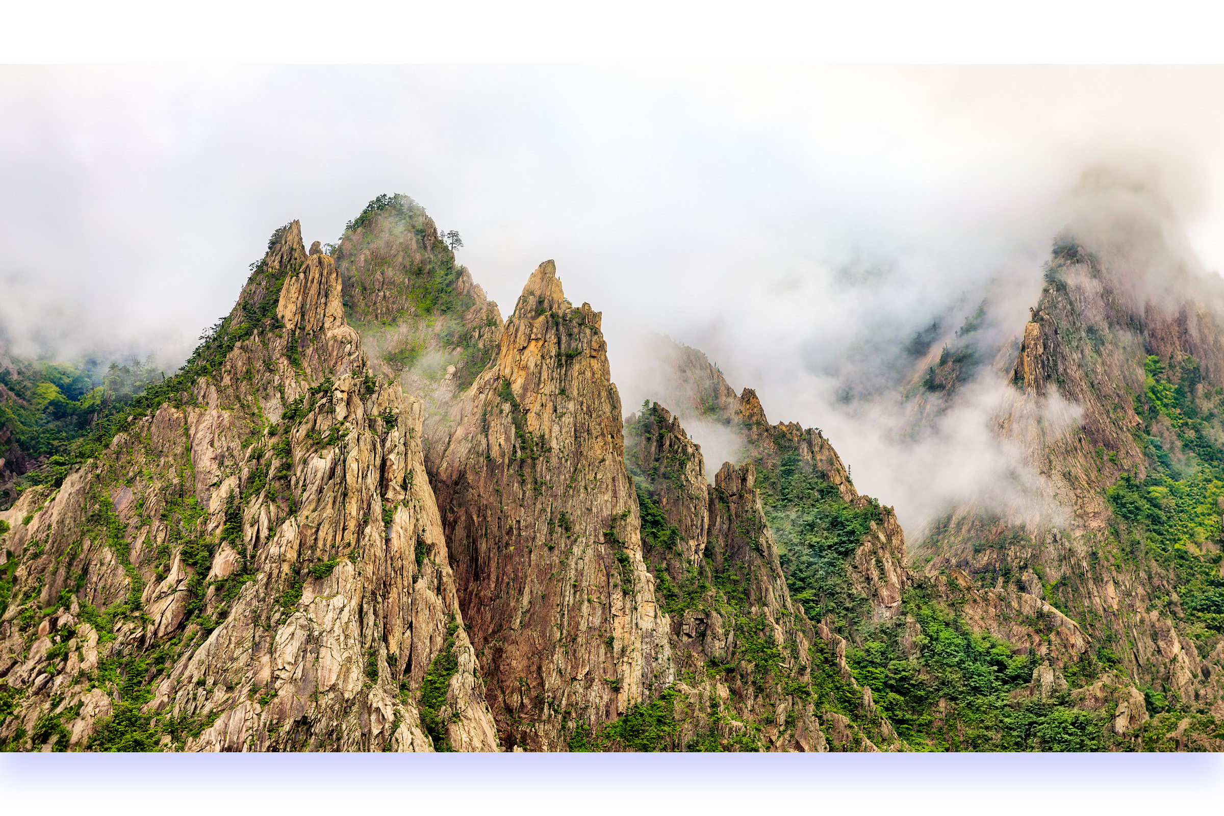 PHOTO BY :07:03 18:41:27photographer
PARK S | CanonCanon |  | ISO- |  |  |  | EV=0 | ● WIDTH:  HEIGHT: