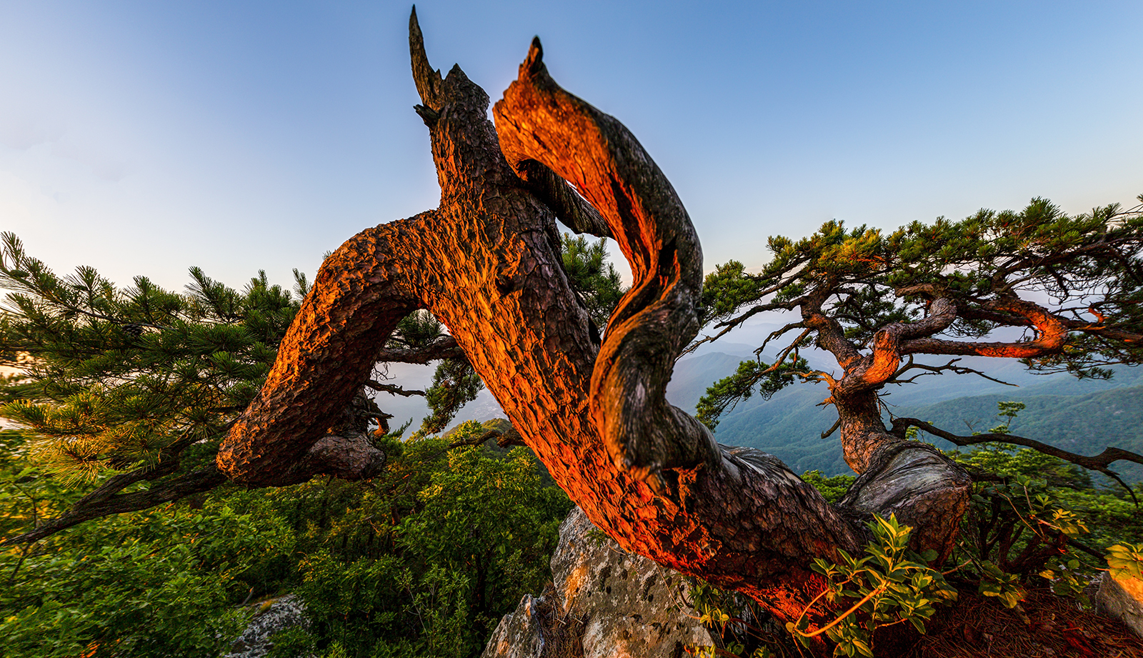 PHOTO BY MINKYUKIM | Canon EOS 5D Mark III | 2024:06:29 04:58:38 | ISO-200 | 1/80 sec | f 5.6 | 16 mm | EV=0 | ● WIDTH:1600 pixels  HEIGHT:921 pixels