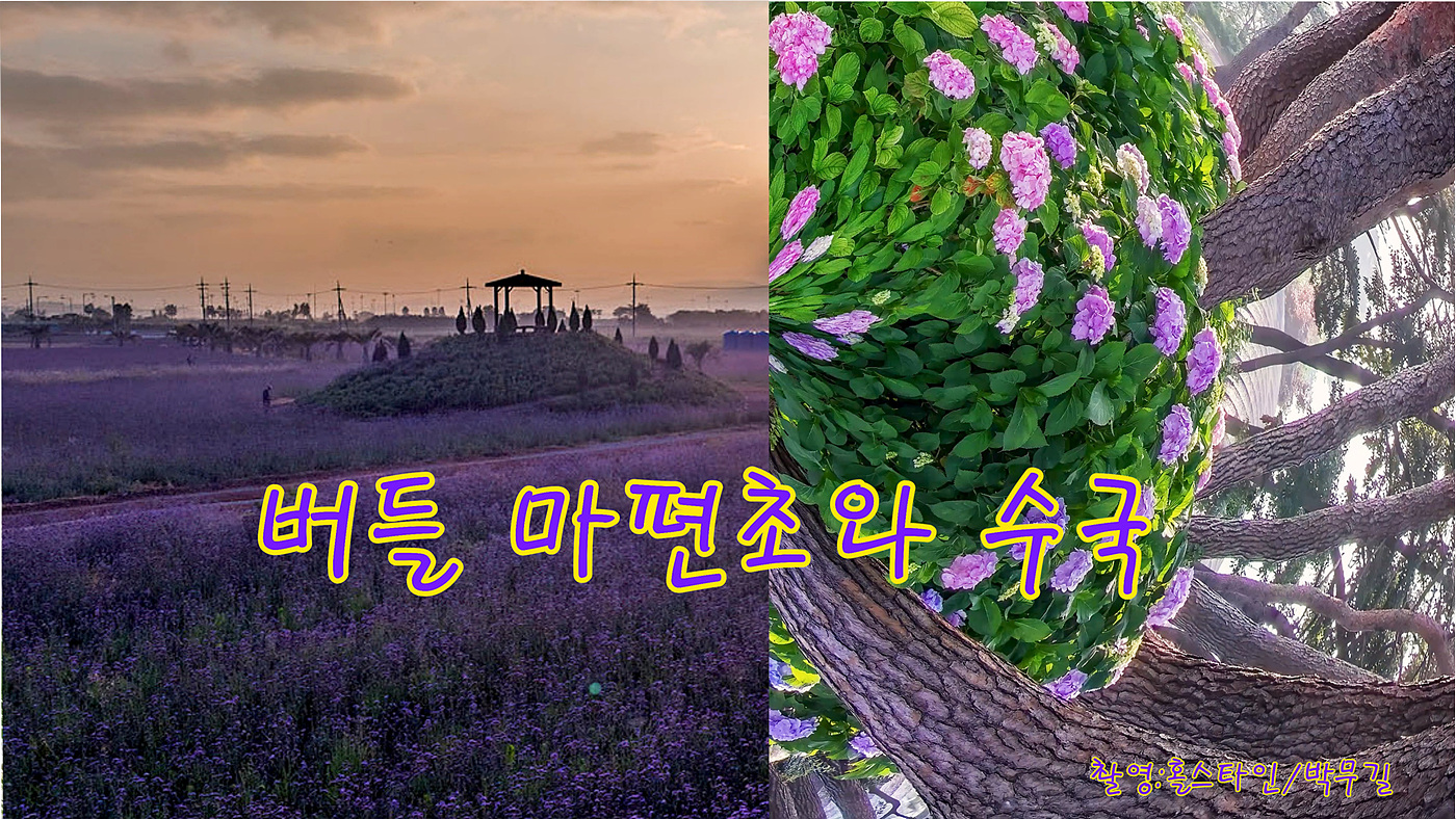   | PHOTO BY : 홀스타인/박무길  |